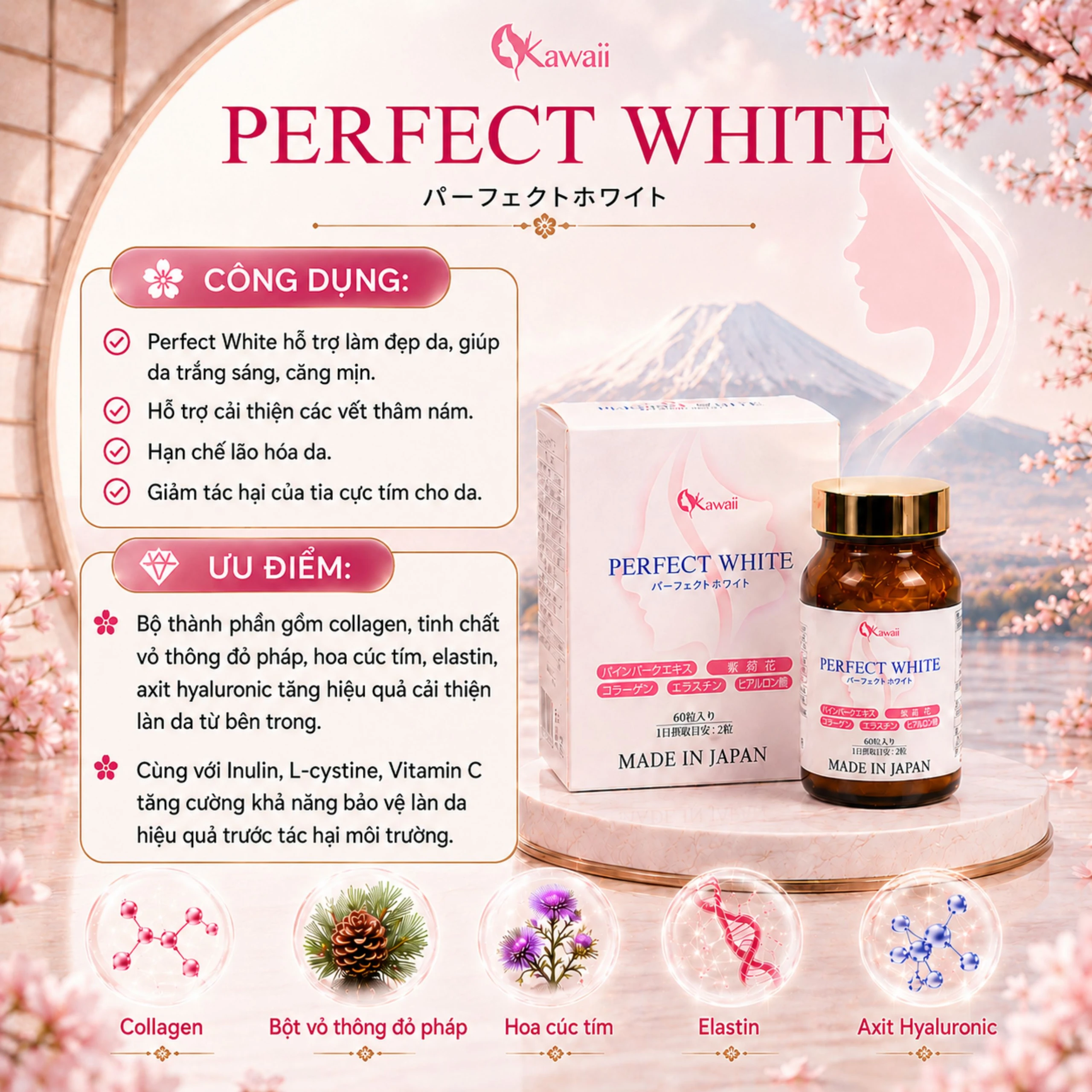Viên uống hỗ trợ làm đẹp da, giúp da trắng sáng, cải thiện thâm nám, hạn chế lão hóa da Perfect White Jpanwell (60 viên) 4
