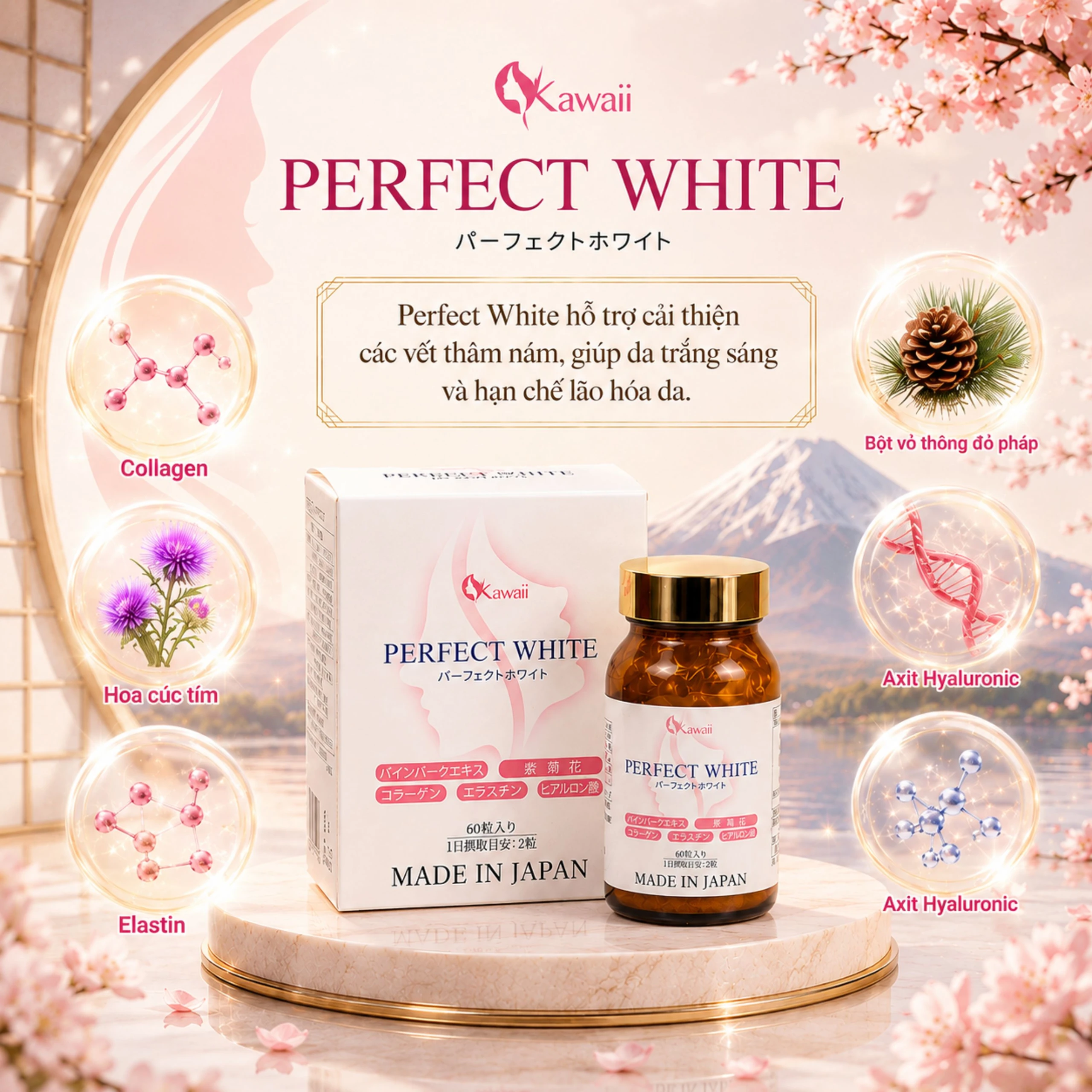 Viên uống hỗ trợ làm đẹp da, giúp da trắng sáng, cải thiện thâm nám, hạn chế lão hóa da Perfect White Jpanwell (60 viên) 2