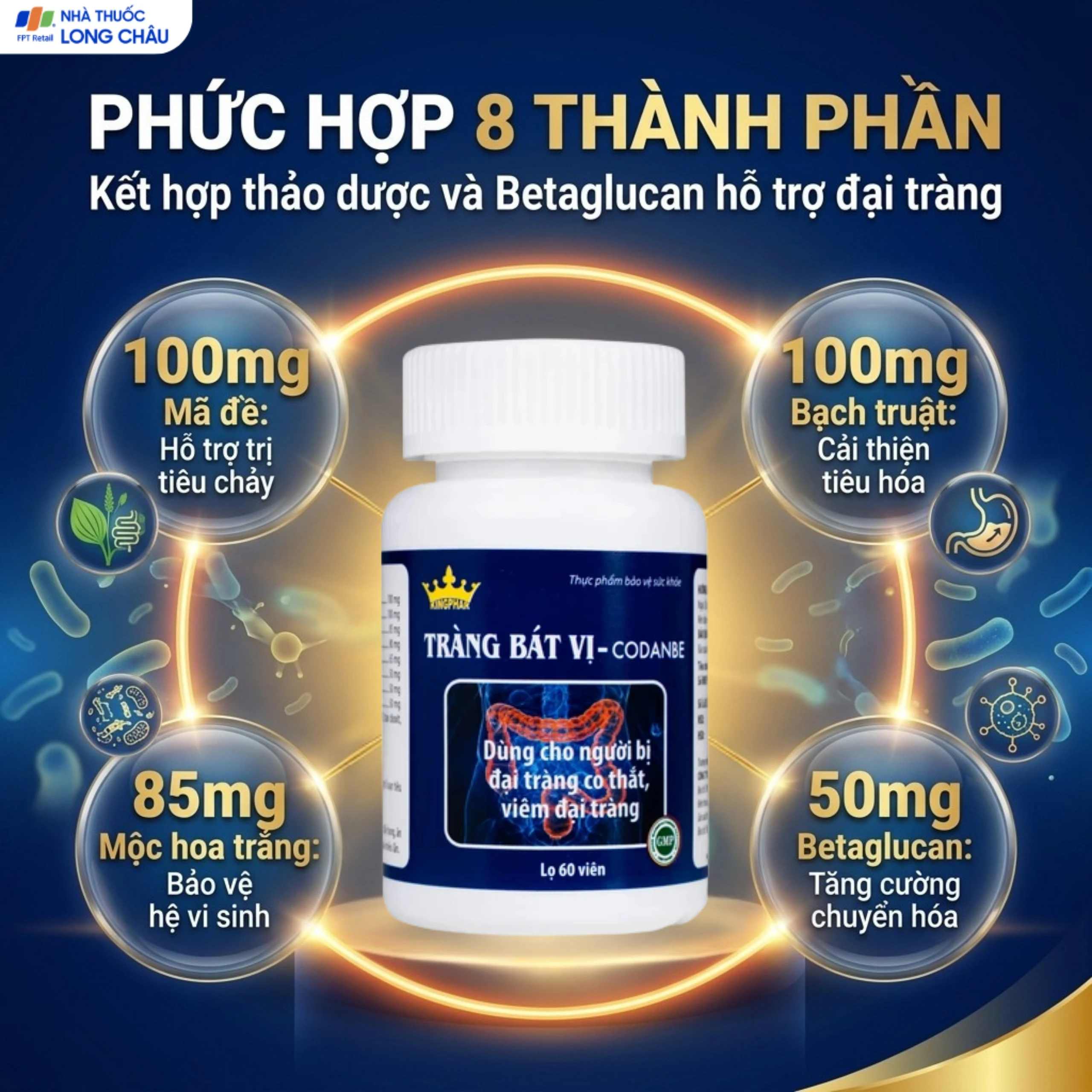 Viên uống hỗ trợ tăng cường tiêu hóa cho người viêm đại tràng Tràng Bát Vị-Codanbe Kingphar (60 viên) 4