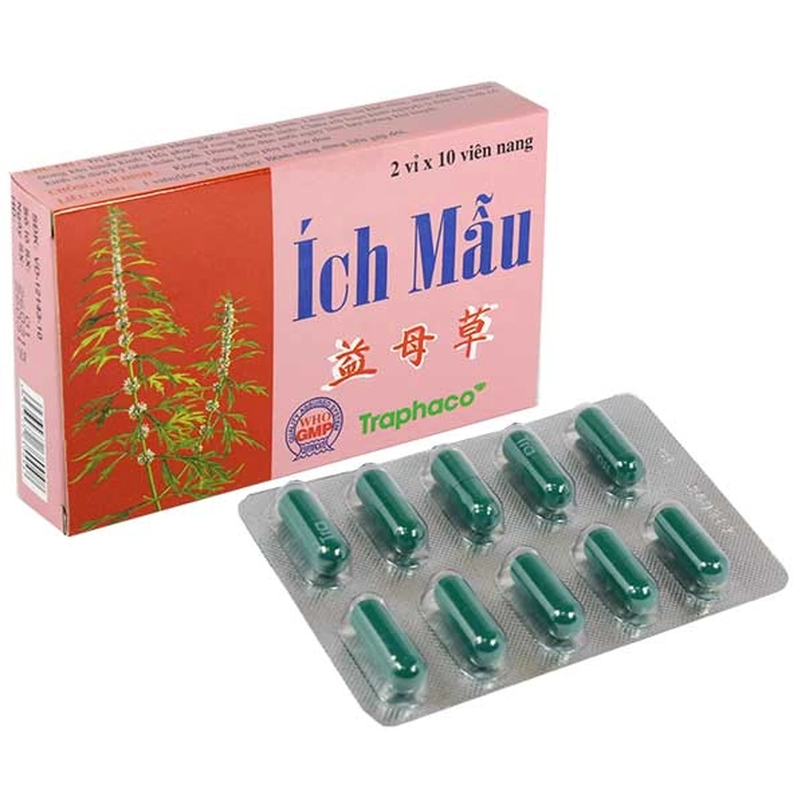 Thuốc Ích Mẫu Traphaco điều trị đau bụng kinh, kinh nguyệt không đều (2 vỉ x 10 viên)