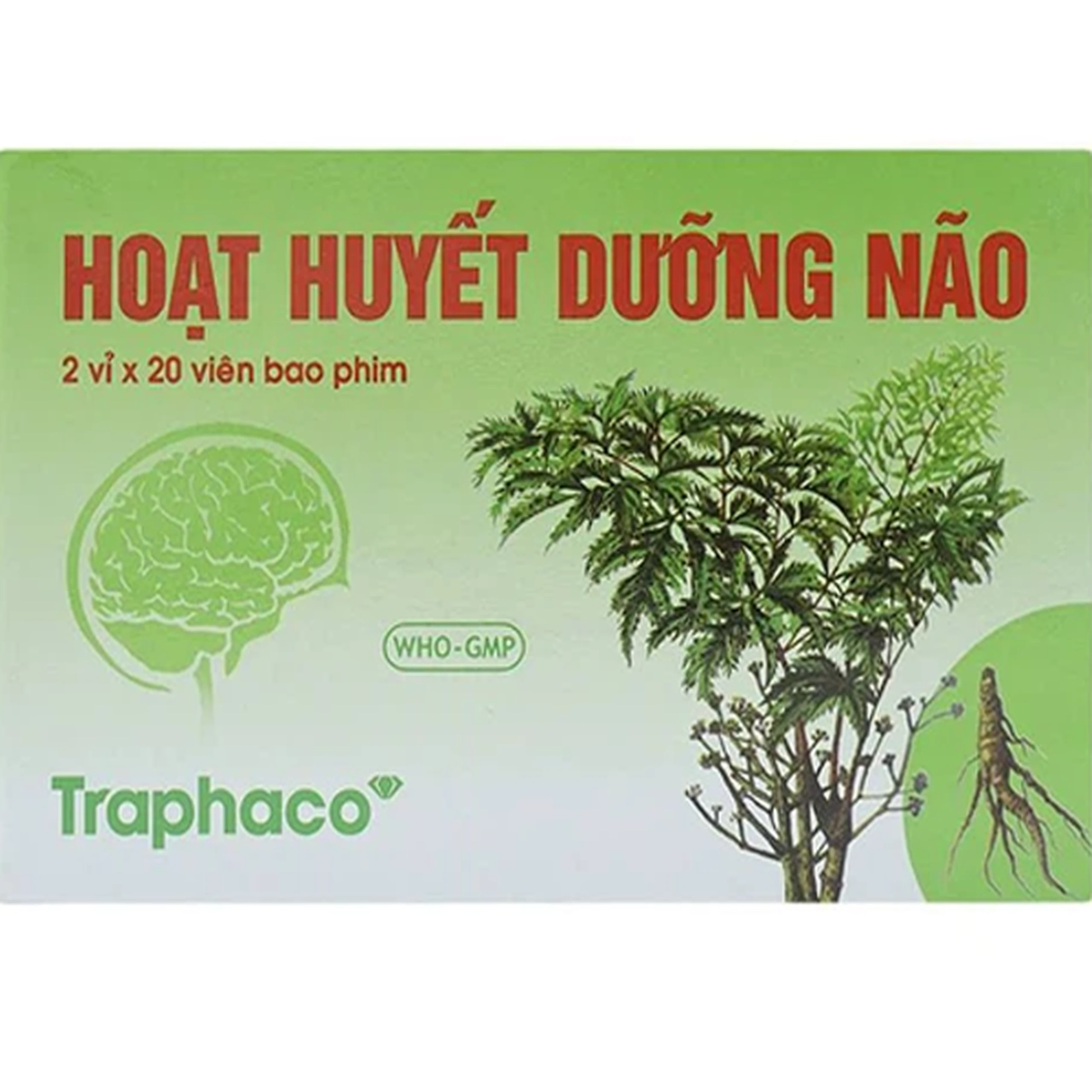 Thuốc Hoạt Huyết Dưỡng Não bao phim Traphaco điều trị suy giảm trí nhớ, căng thẳng thần kinh (2 vỉ x 20 viên)