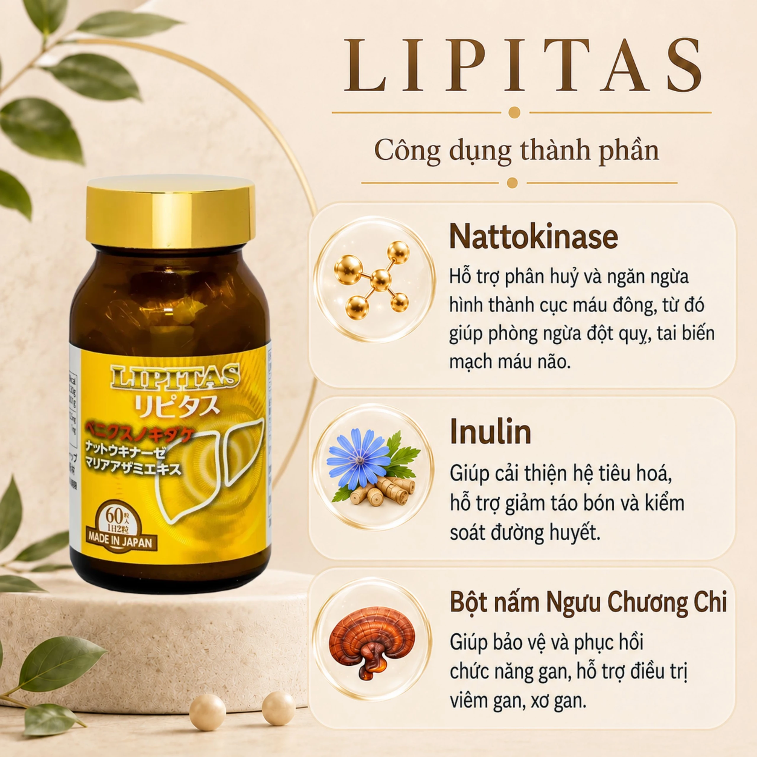Viên uống giúp giảm mỡ, cholesterol và triglyceride trong máu Lipitas Jpanwell (60 viên) 5