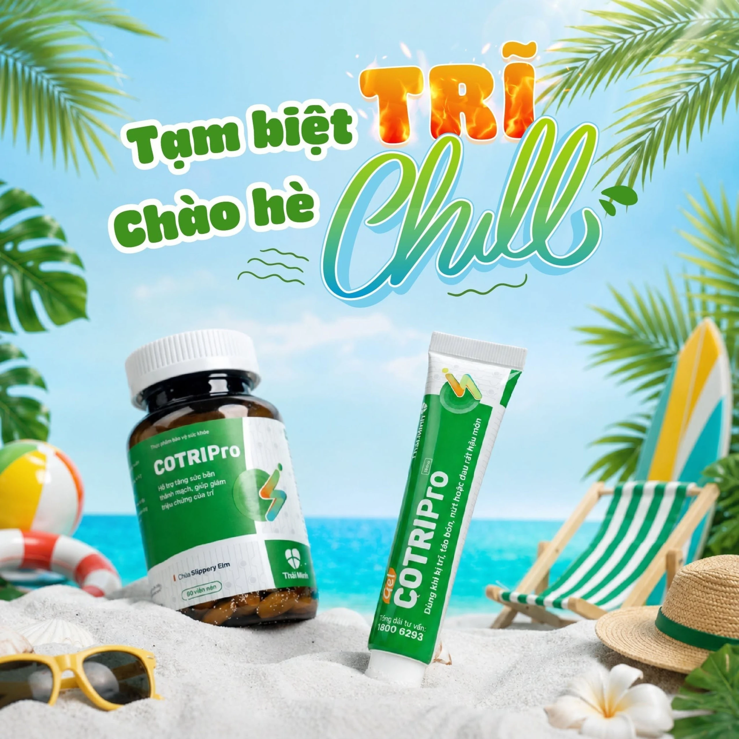 Viên uống bền thành mạch giảm trĩ Cotripro Thái Minh (2 vỉ x 10 viên) 2