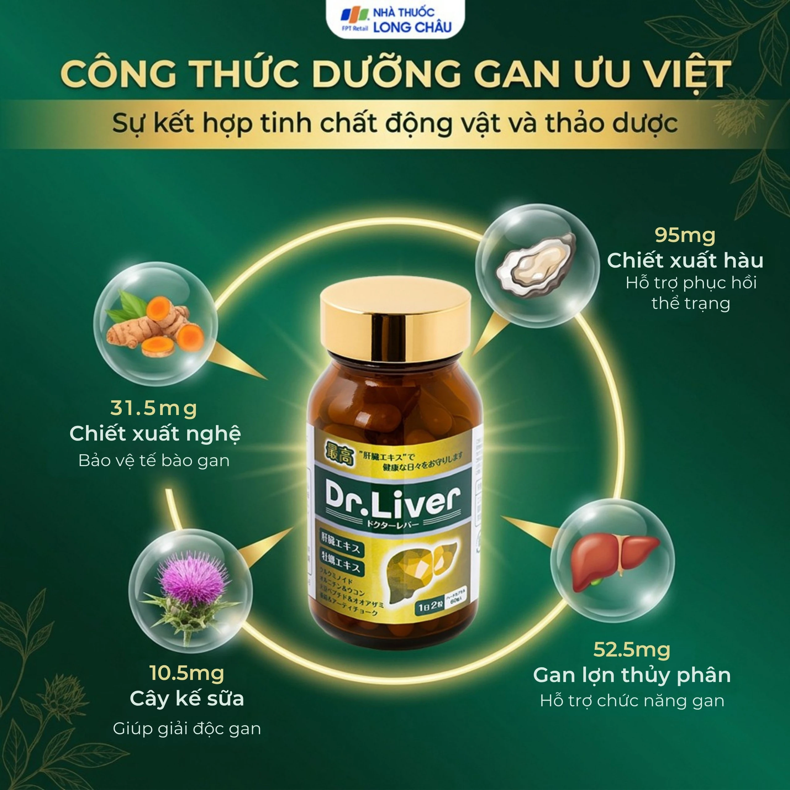 Viên uống bổ gan tăng cường giải độc gan Dr. Liver Jpanwell (60 viên) 3