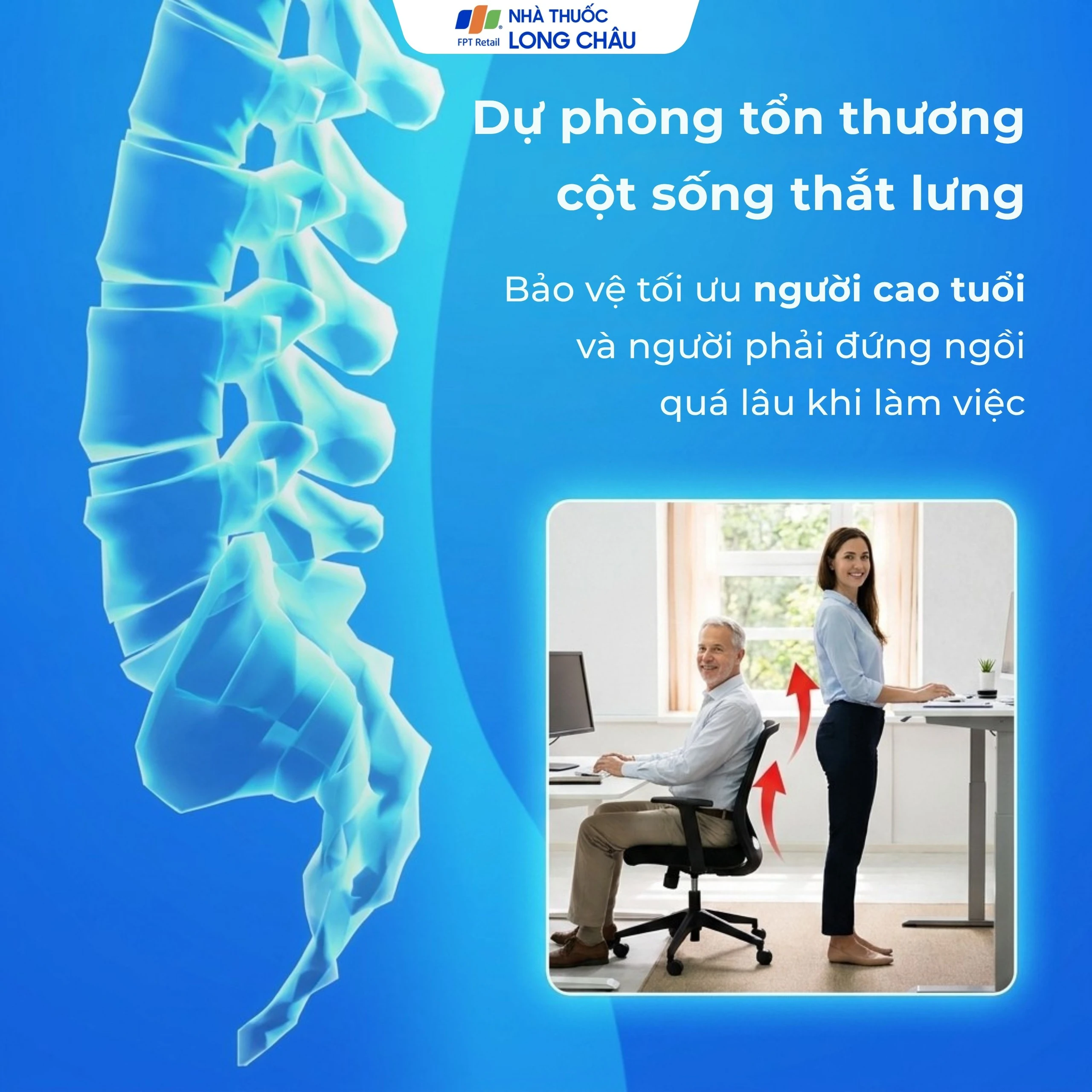 Đai thắt lưng Olumba Orbe size S hỗ trợ giảm đau, cố định cột sống 4