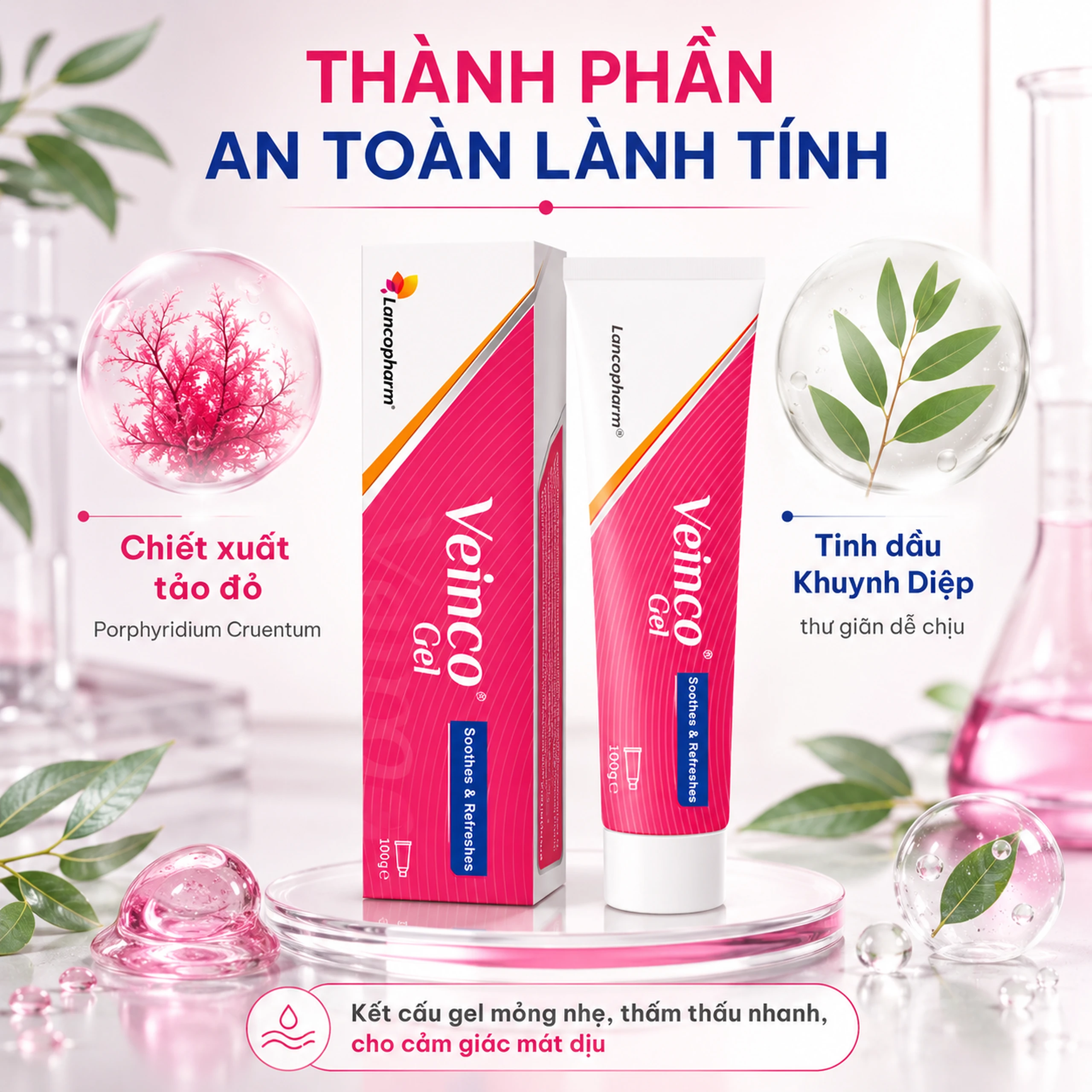 Gel bôi ngừa giãn tĩnh mạch Veinco Lancopharm hộp 100g 4