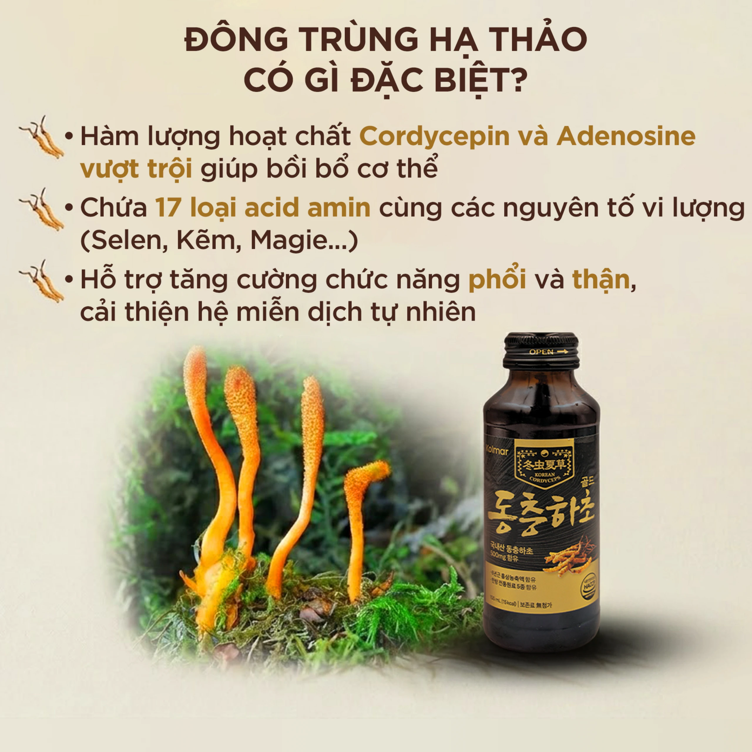 Nước Đông Trùng Hạ Thảo Gold Kolmar 10 chai x 100ml 5