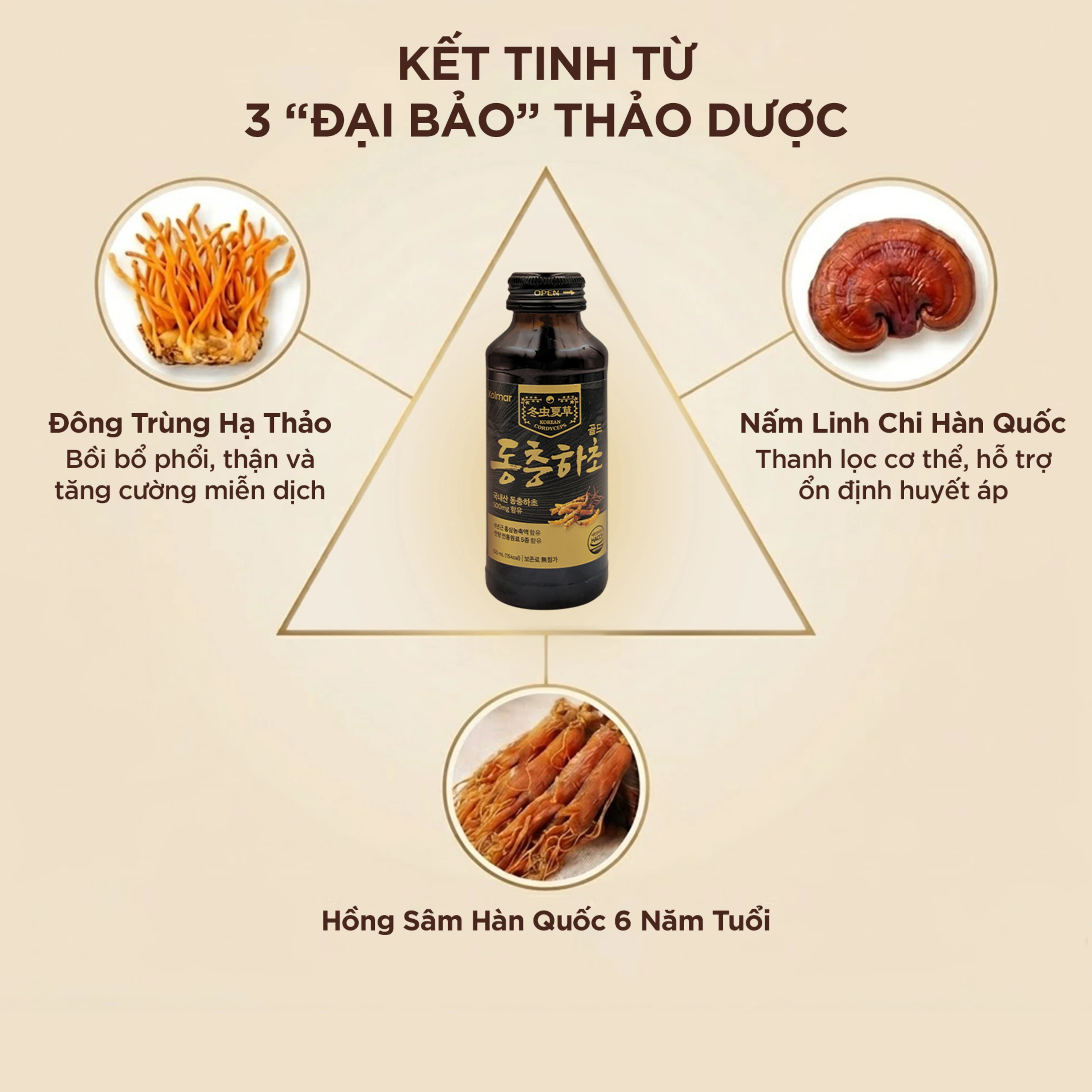 Nước Đông Trùng Hạ Thảo Gold Kolmar 10 chai x 100ml 3