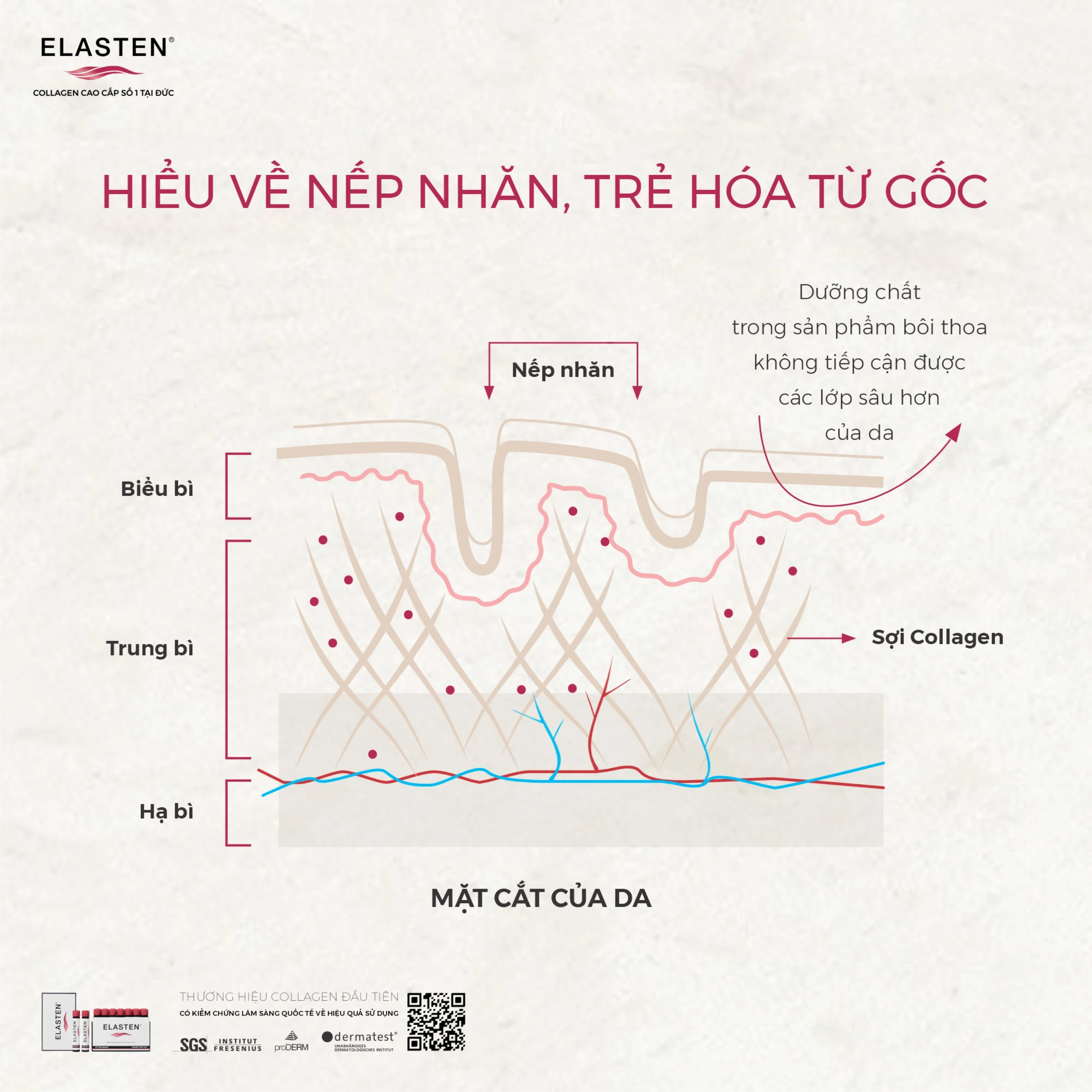Nước uống bổ sung Collagen-Peptide, giúp giảm lão hóa da, tăng độ đàn hồi và giữ ẩm cho da, giúp da sáng mịn Elasten (28+2 ống x 25ml) 4