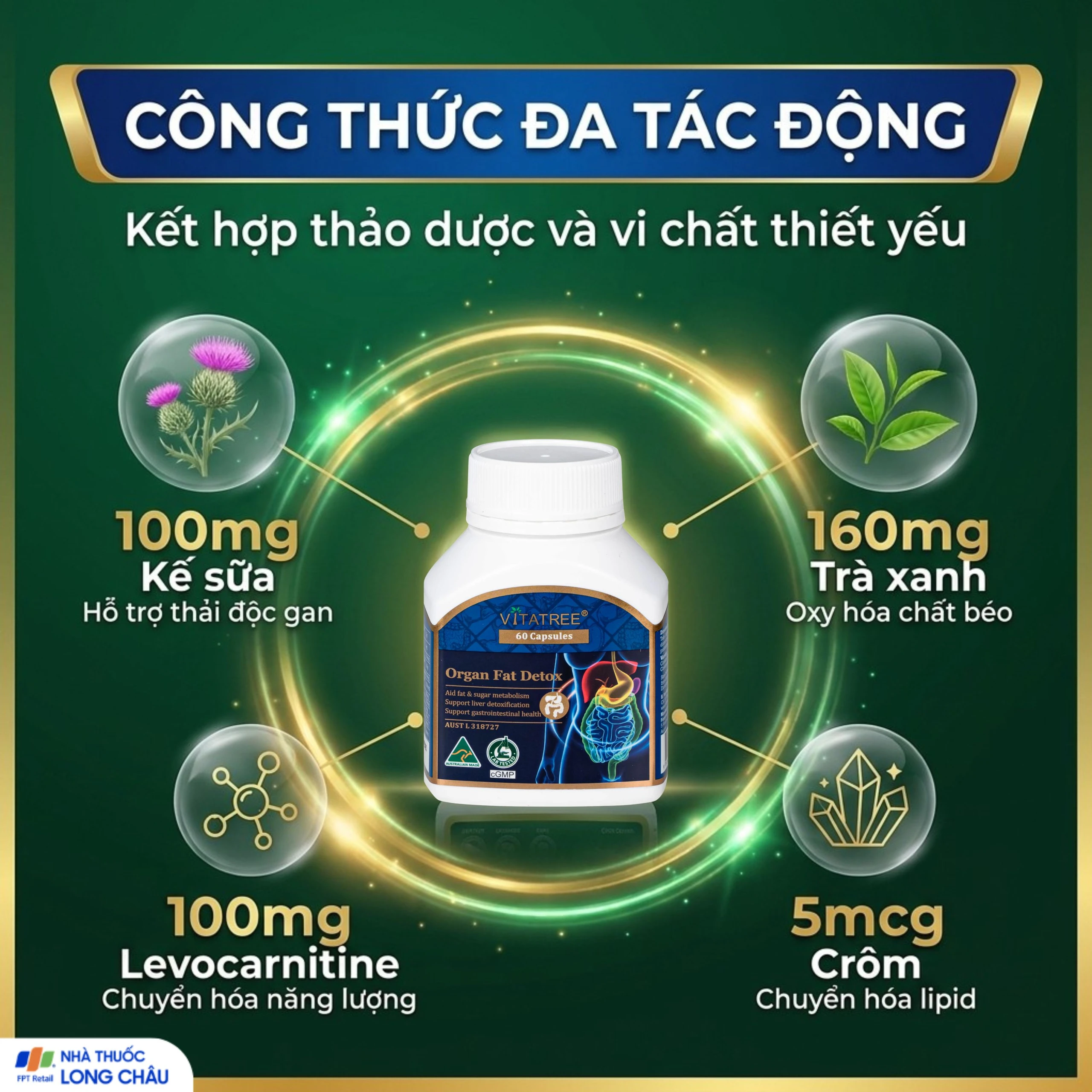Viên uống hỗ trợ giải độc gan, tăng cường chuyển hoá chất béo, giúp giảm mỡ máu Vitatree Organ Fat Detox (Hộp 60 viên) 4