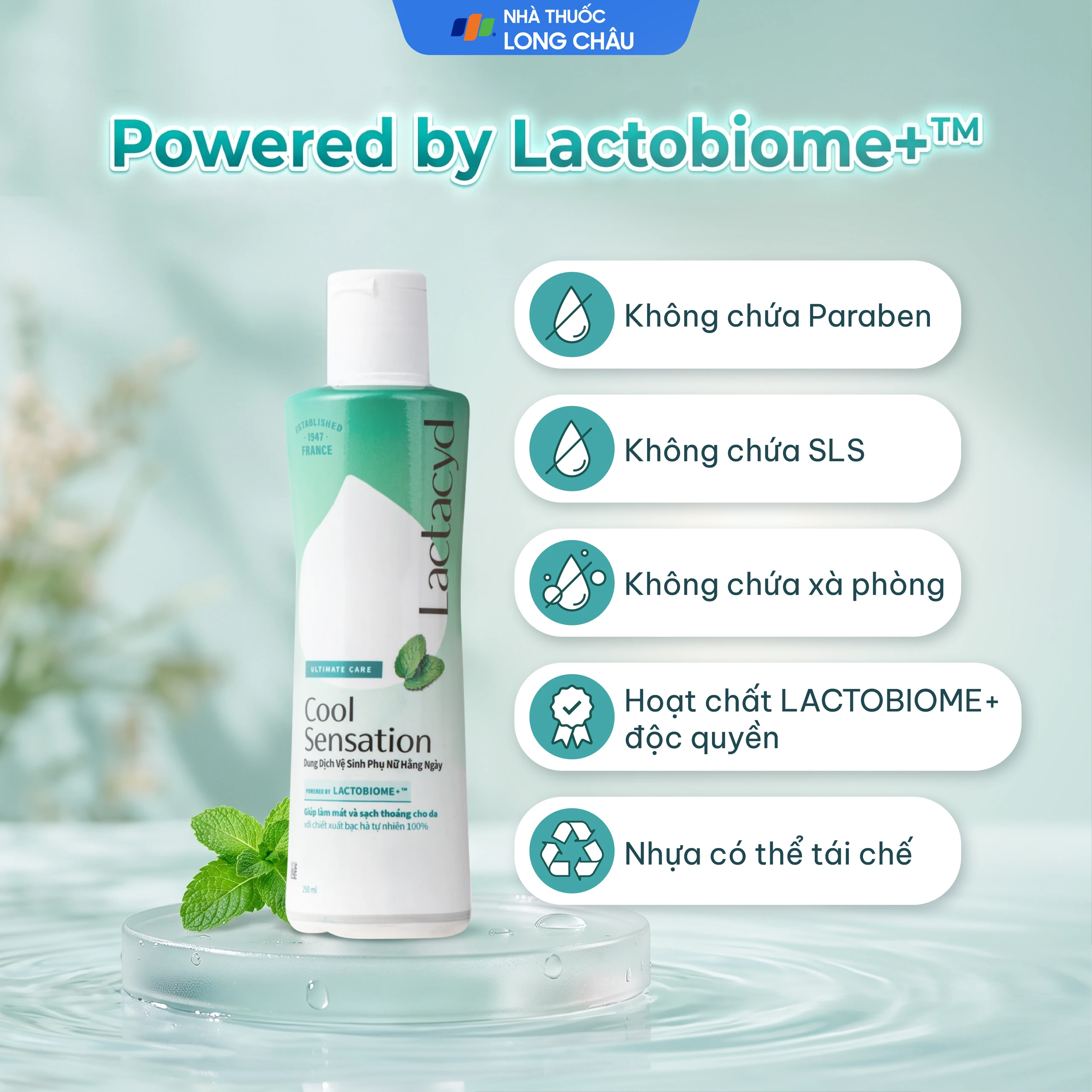 Dung Dịch Vệ Sinh Phụ Nữ Lactacyd Cool Sensation (250ml) 6