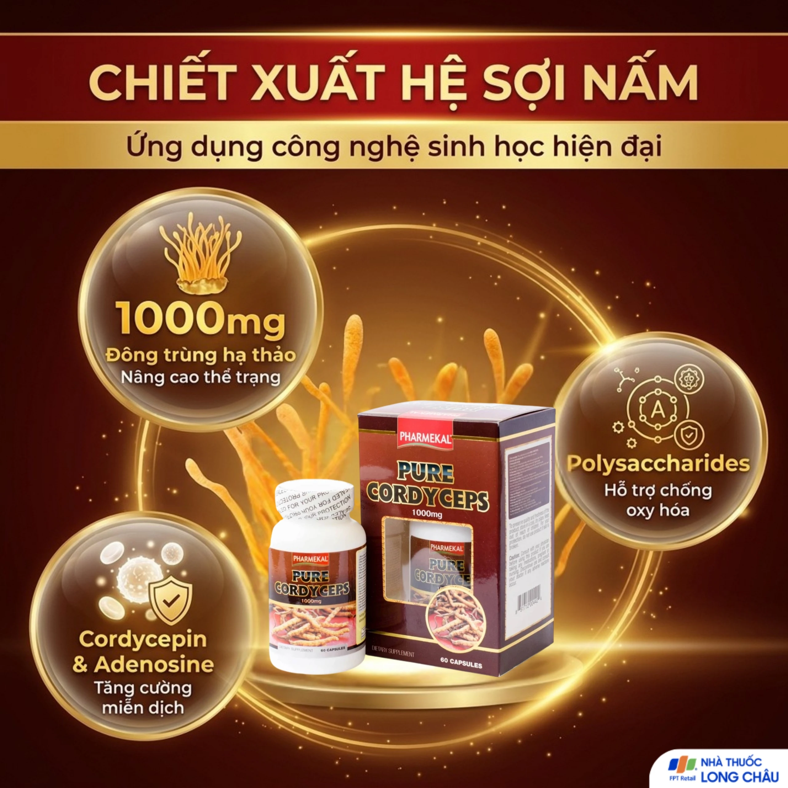 Viên uống Đông trùng hạ thảo giúp tăng cường sức đề kháng Pure Cordyceps Pharmekal (60 viên) 4