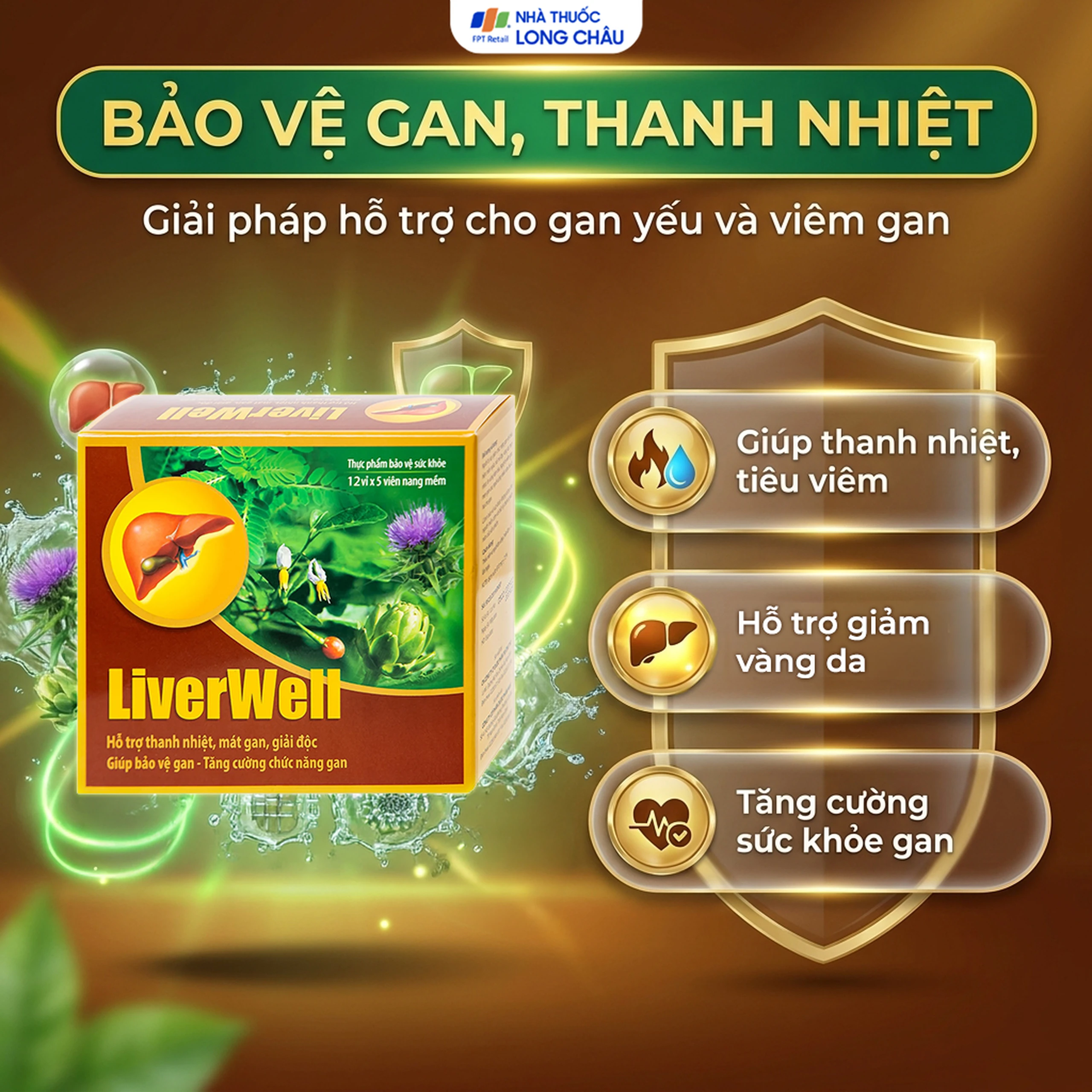 Viên uống hỗ trợ thanh nhiệt, mát gan, giải độc, bảo vệ gan LiverWell (12 vỉ x 5 viên) 4