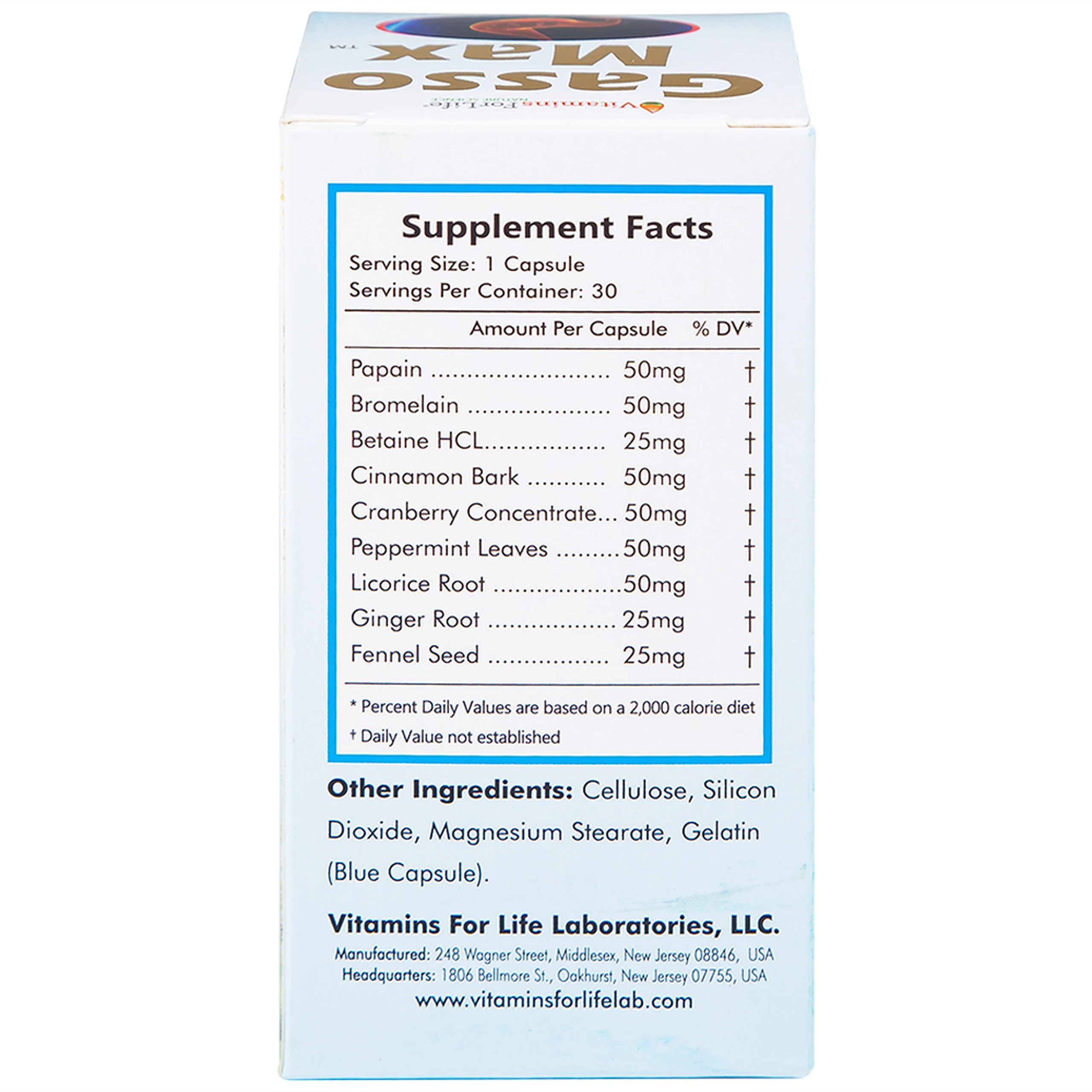 Viên uống bổ sung enzyme và các thảo mộc hỗ trợ tiêu hóa tốt Gasso Max Vitamins For Life (30 viên)