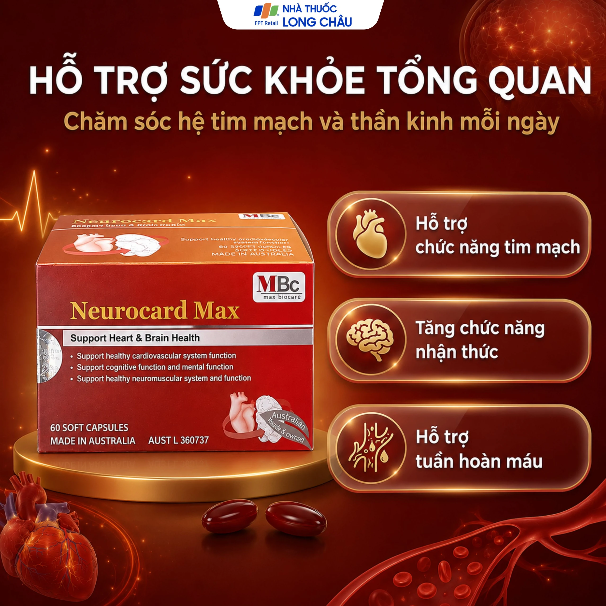 Viên uống Neurocard Max Luca Pharma hỗ trợ chức năng hệ tim mạch, tuần hoàn máu (6 vỉ x 10 viên) 4