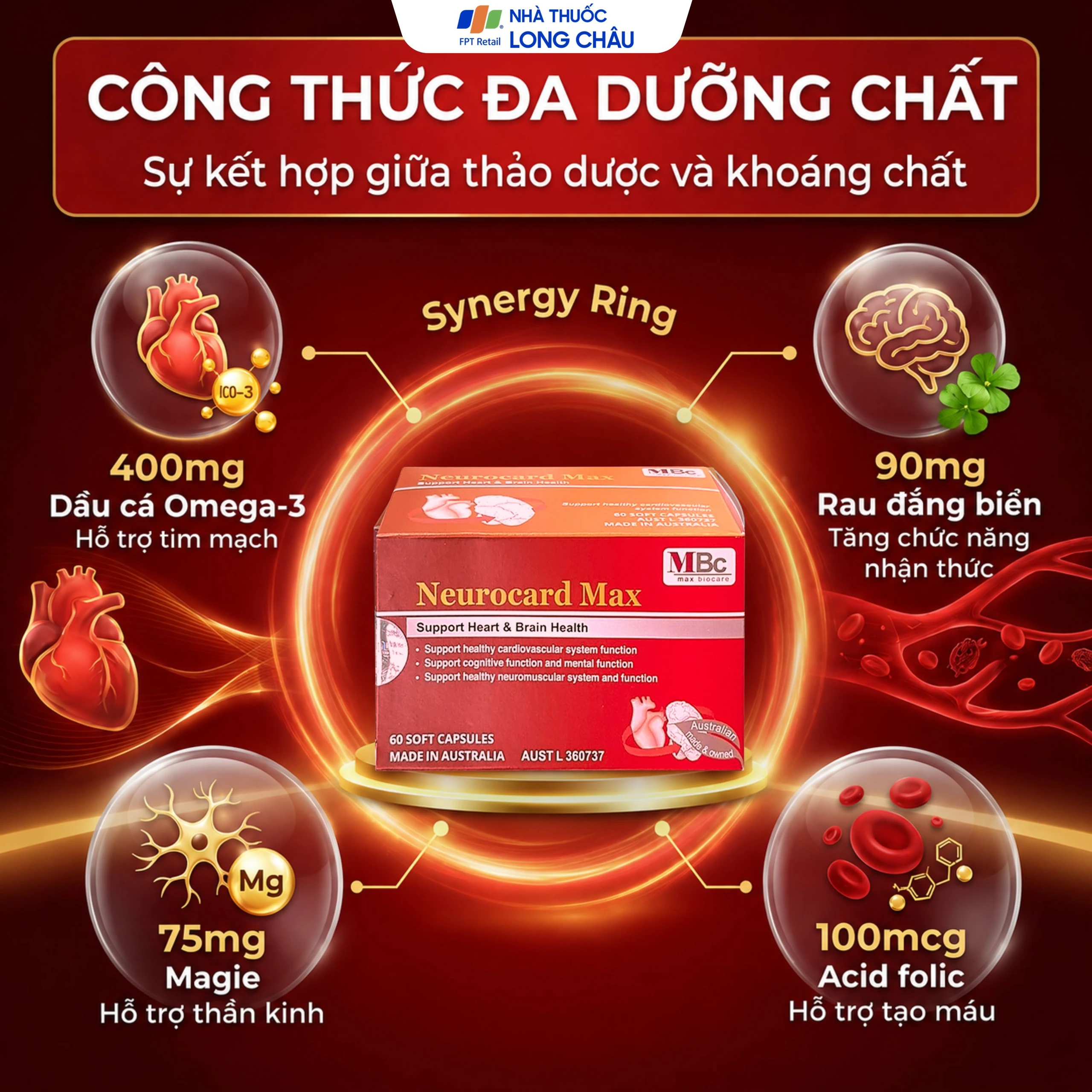 Viên uống Neurocard Max Luca Pharma hỗ trợ chức năng hệ tim mạch, tuần hoàn máu (6 vỉ x 10 viên) 5