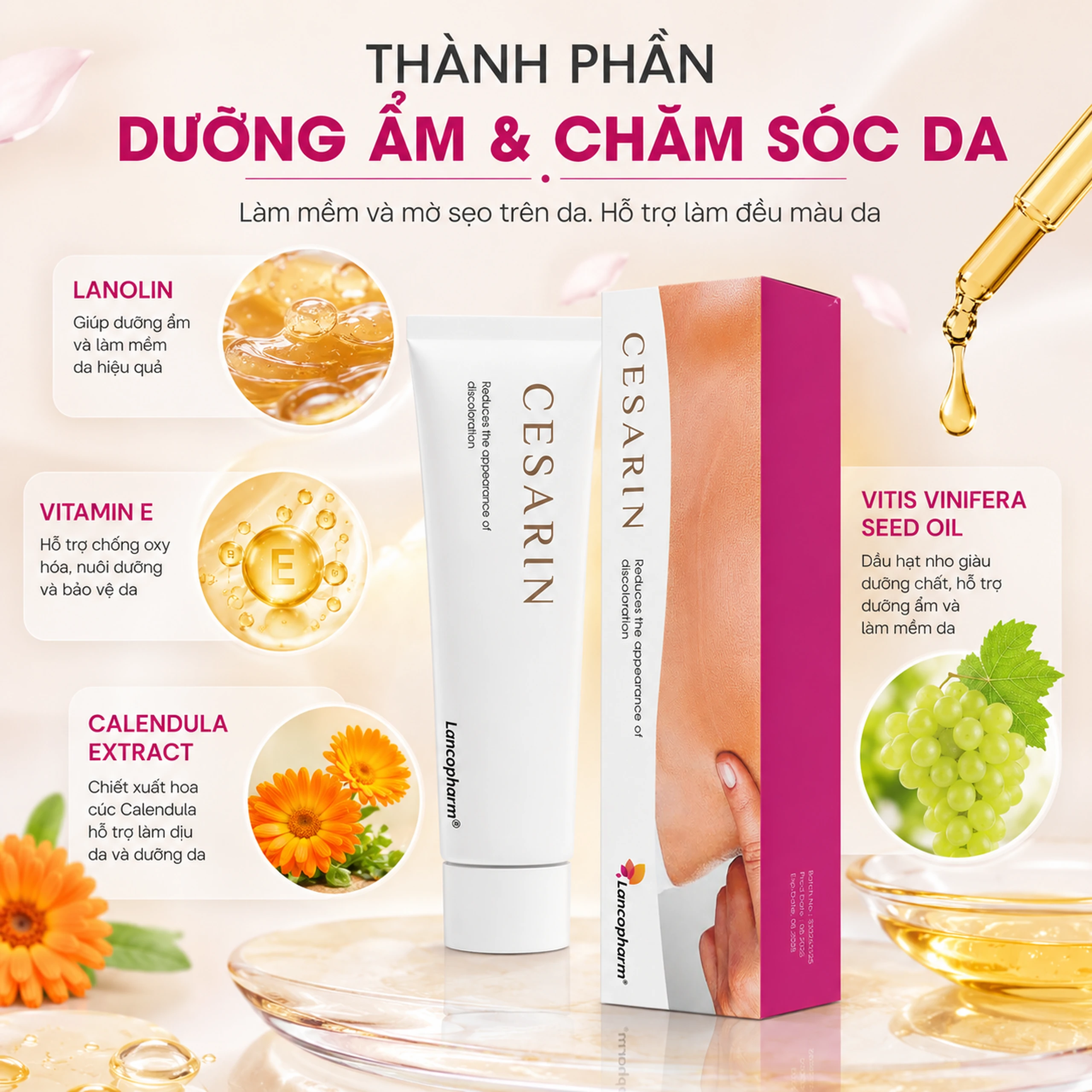 Kem bôi mờ sẹo sau phẫu thuật Cesarin Ointment Lancopharm 30g 6