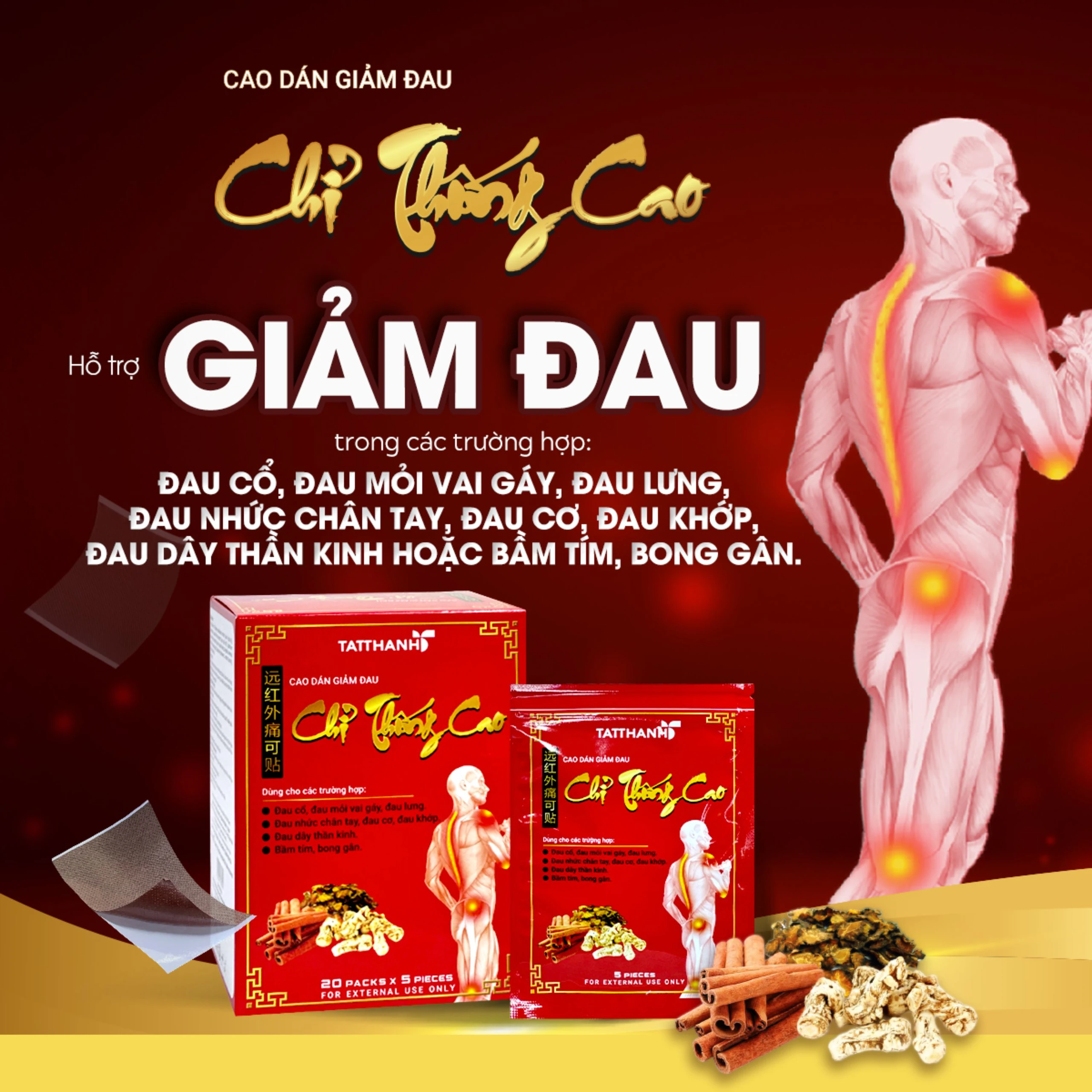 Cao dán giảm đau Chỉ Thống Cao giúp giảm đau cổ, đau mỏi vai gáy, đau lưng (20 gói) 2