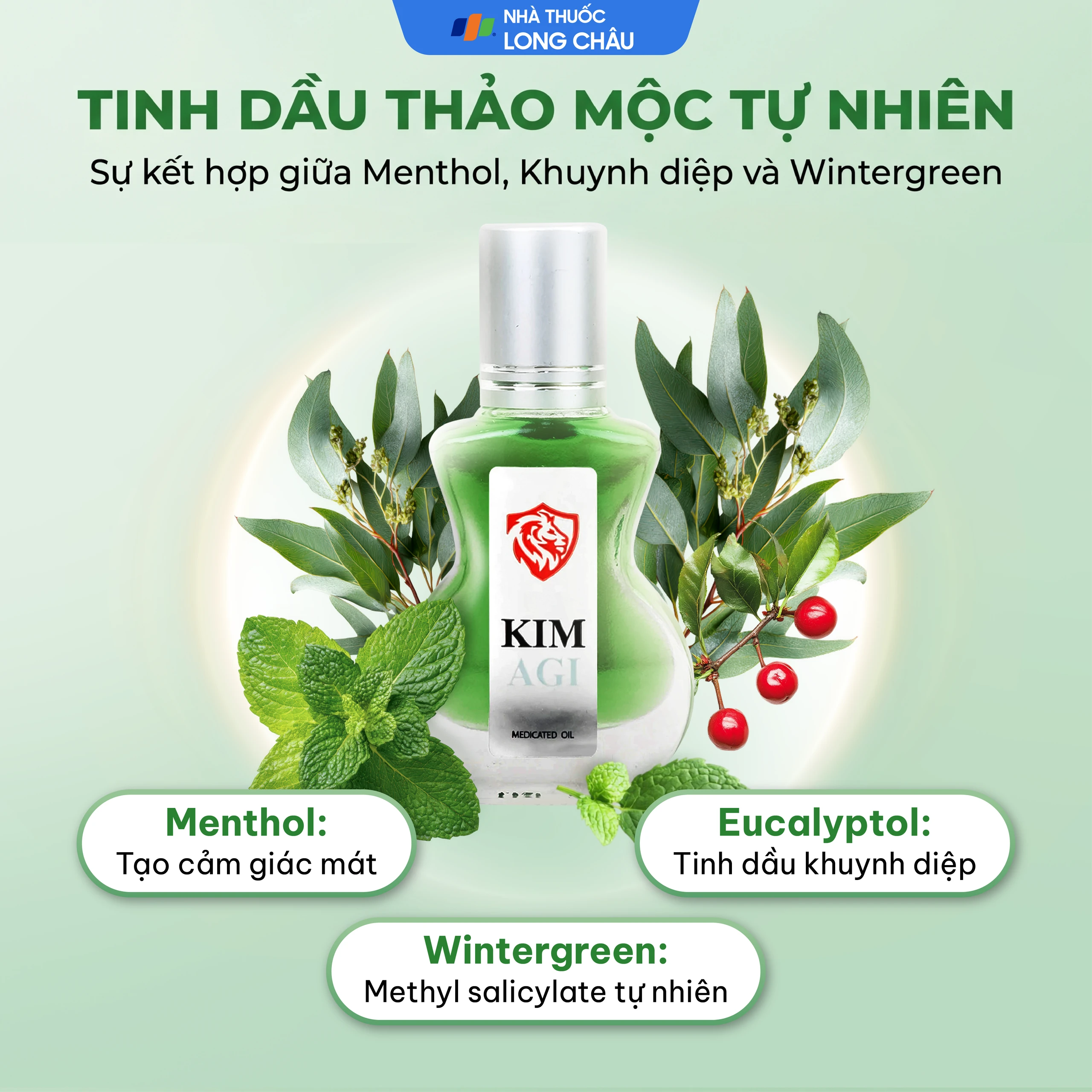 Dầu gió lăn Kimagi New Agimexpharm giúp giảm đau, giữ ấm (9ml) 3