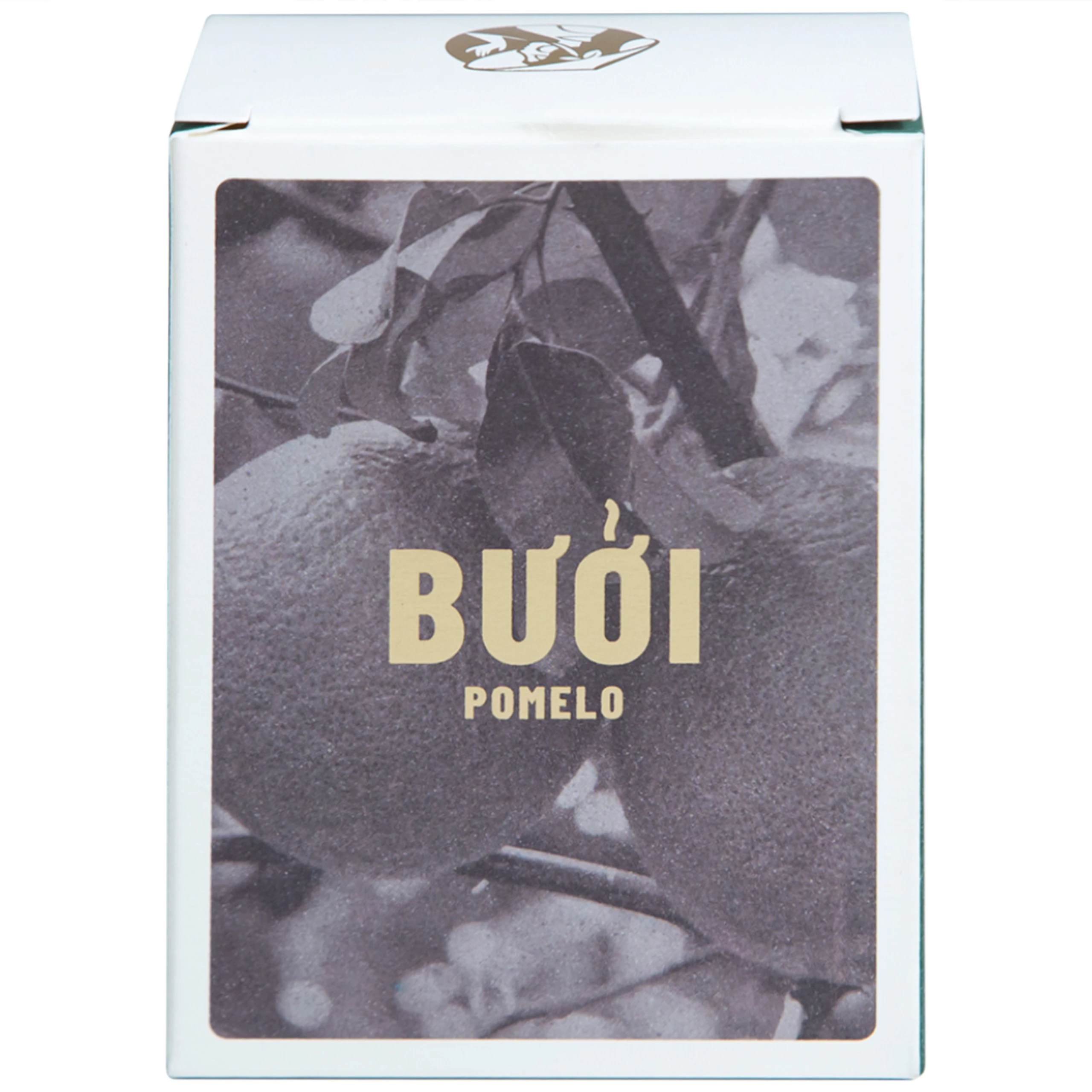 Tinh dầu bưởi dưỡng, ngăn rụng tóc Cocoon phiên bản nâng cấp 140ml