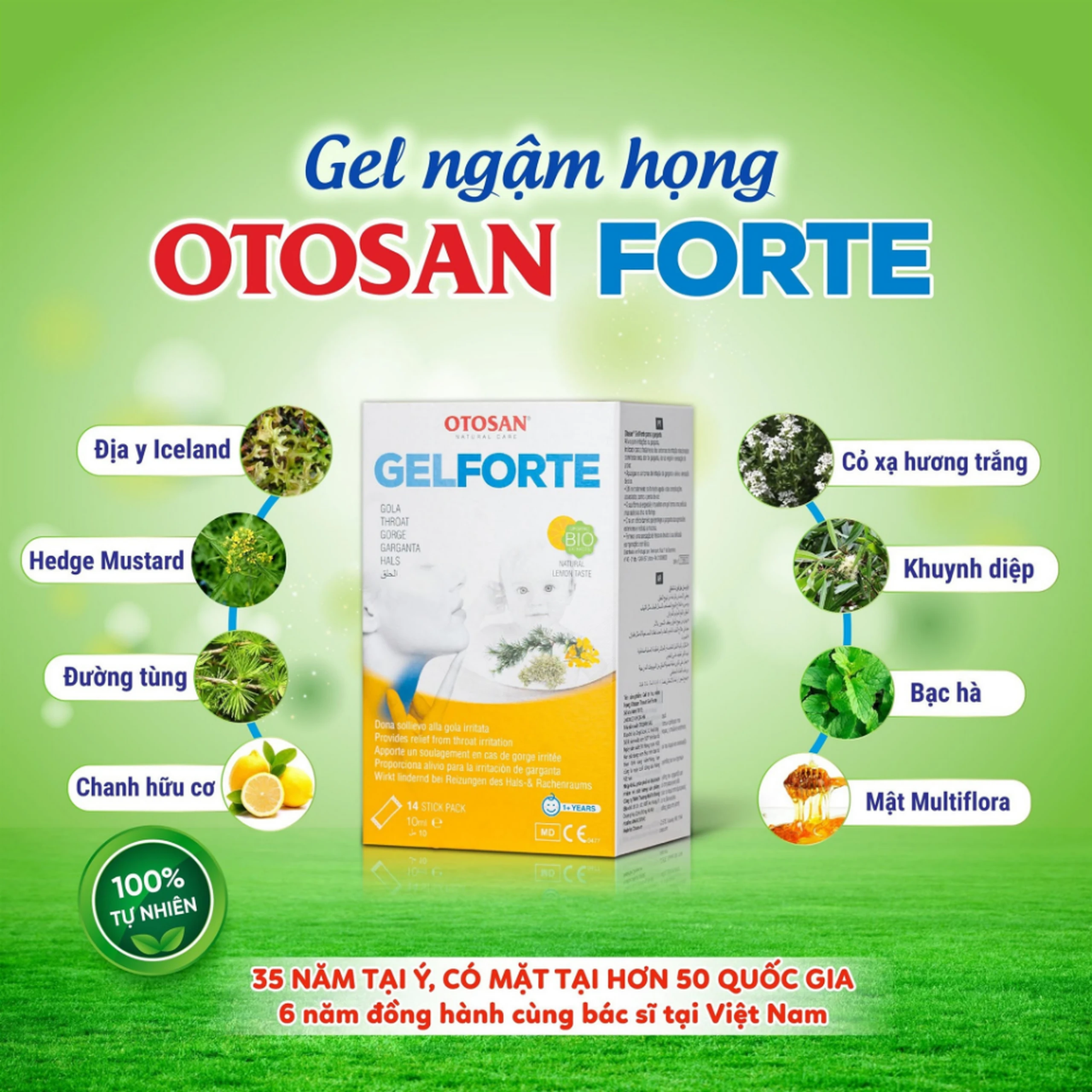 Gel ngậm họng Otosan Throat Gel Forte 14 gói x 10ml hỗ trợ điều trị viêm họng cấp tính 4