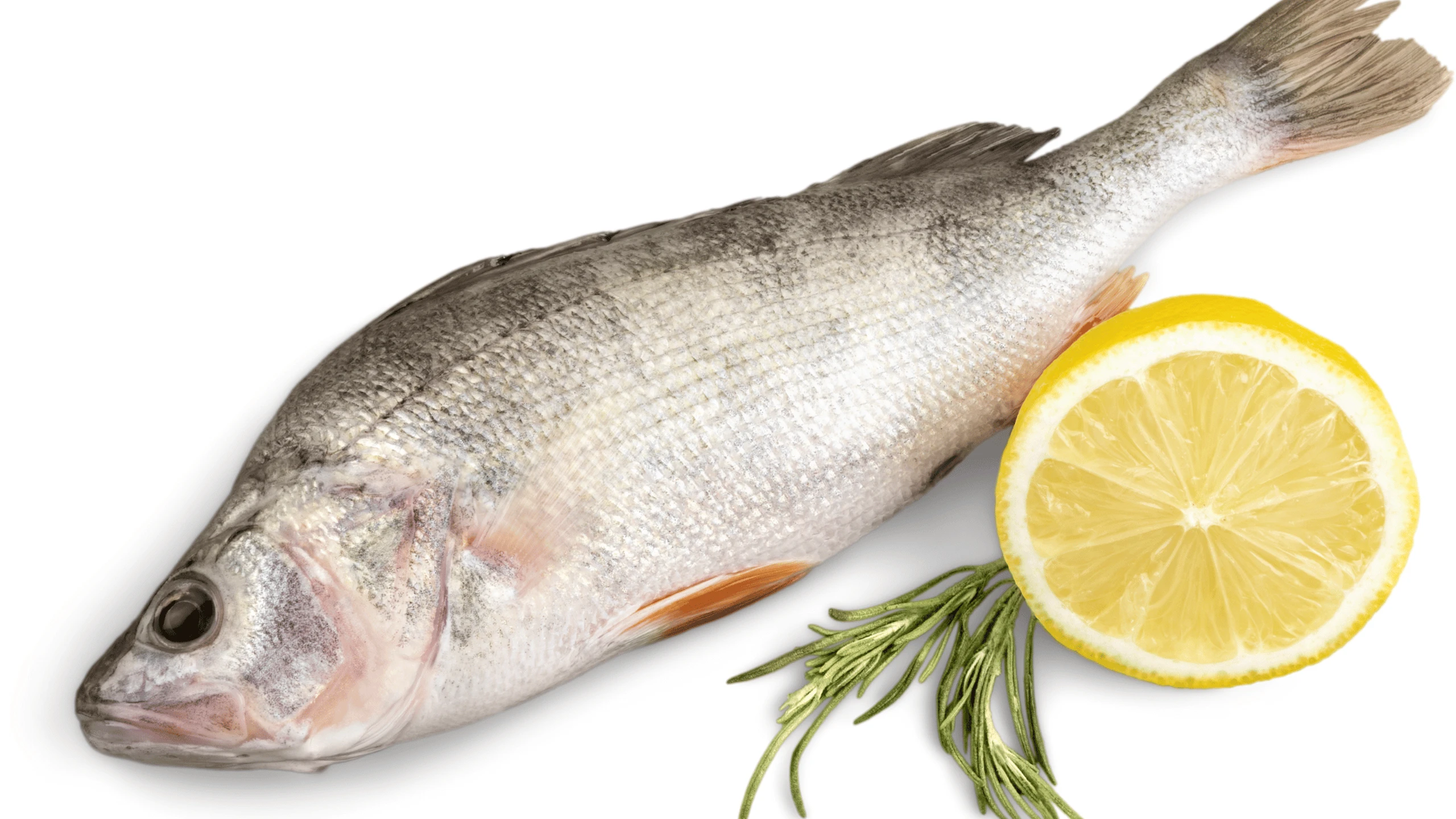 5 loại cá nên ăn thường xuyên để giảm cân và mỡ nội tạng