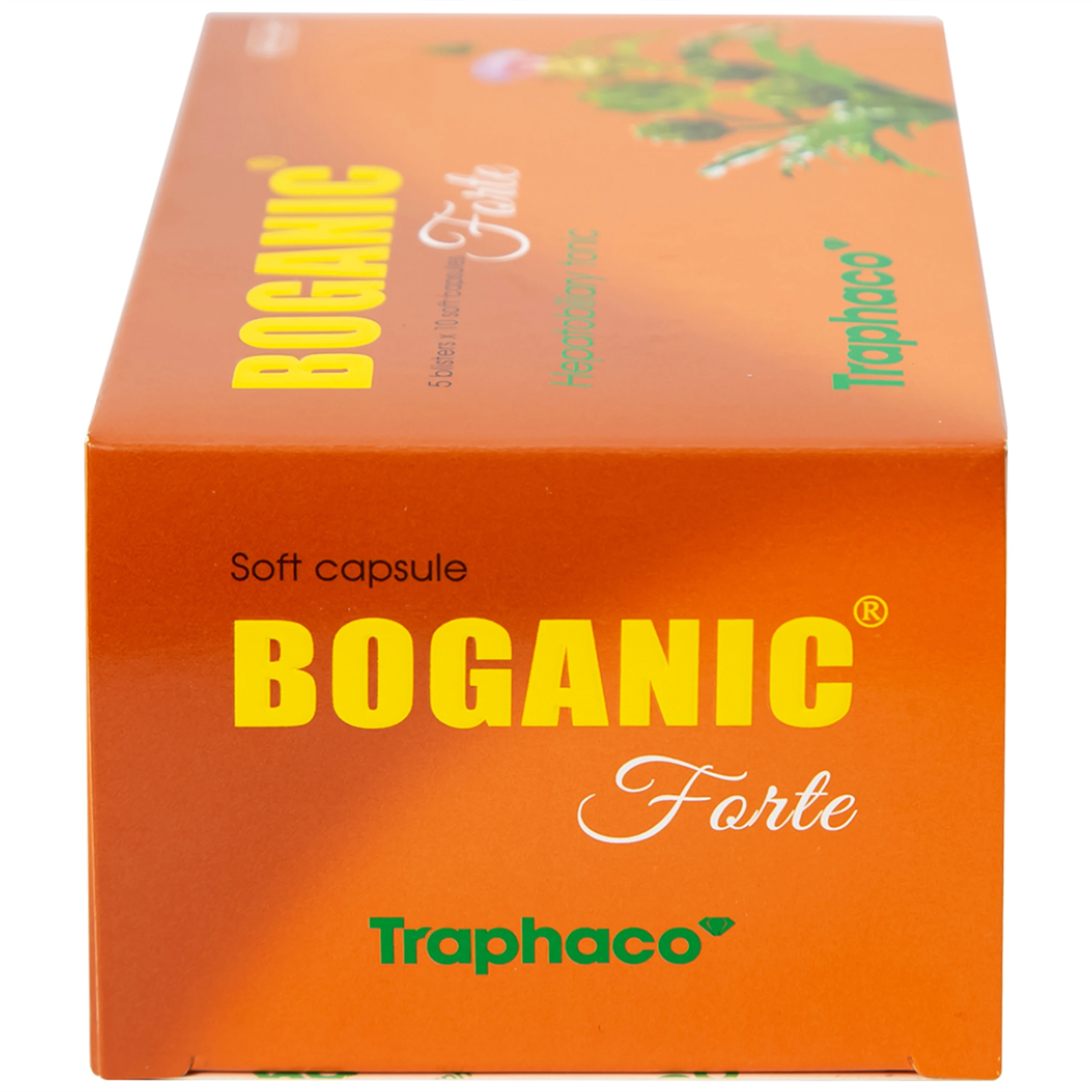 Thuốc Boganic Forte Traphaco bổ gan, hỗ trợ điều trị suy giảm chức năng gan (5 vỉ x 10 viên)