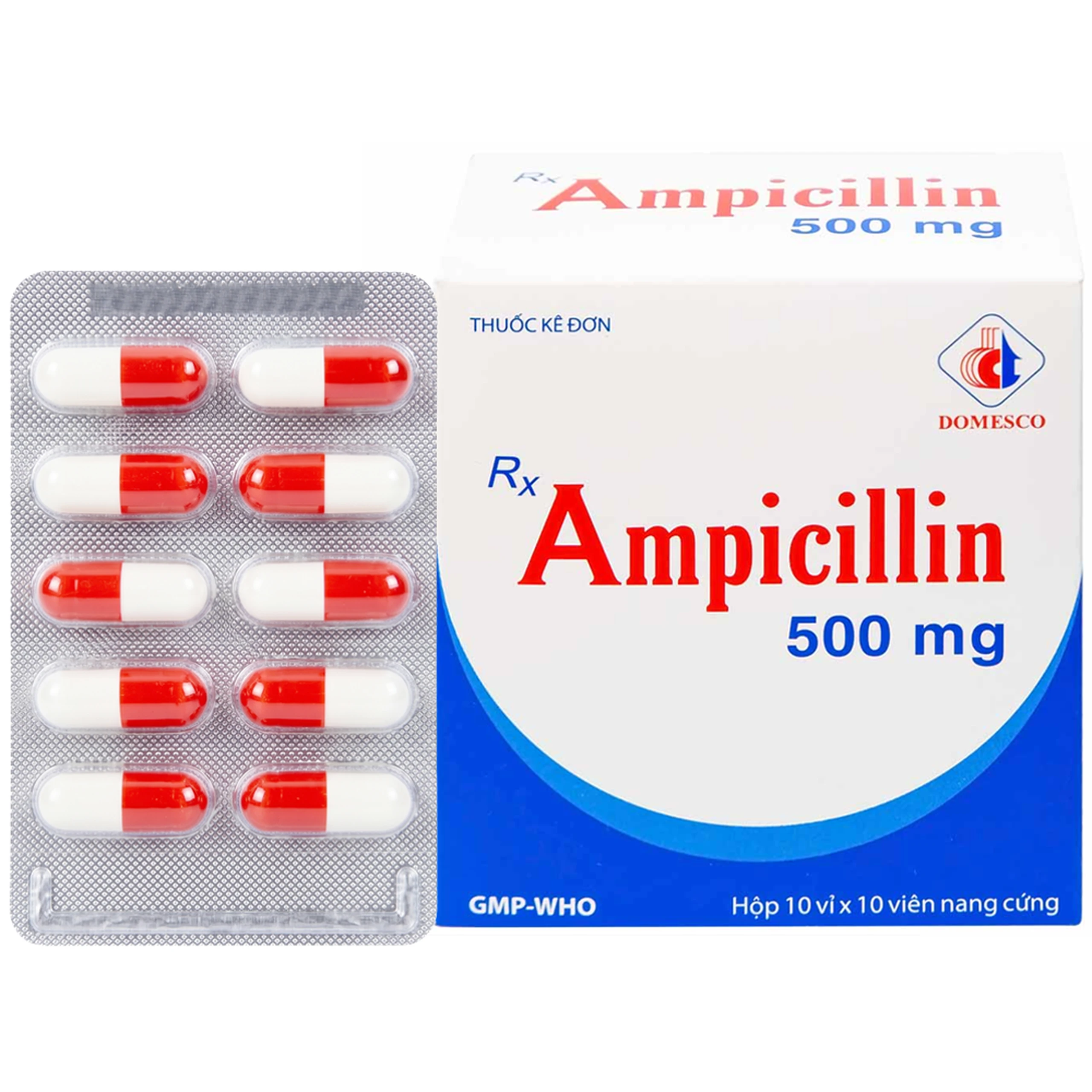 Thuốc Ampicillin 500mg Domesco điều trị nhiễm khuẩn (10 vỉ x 10 viên) 1