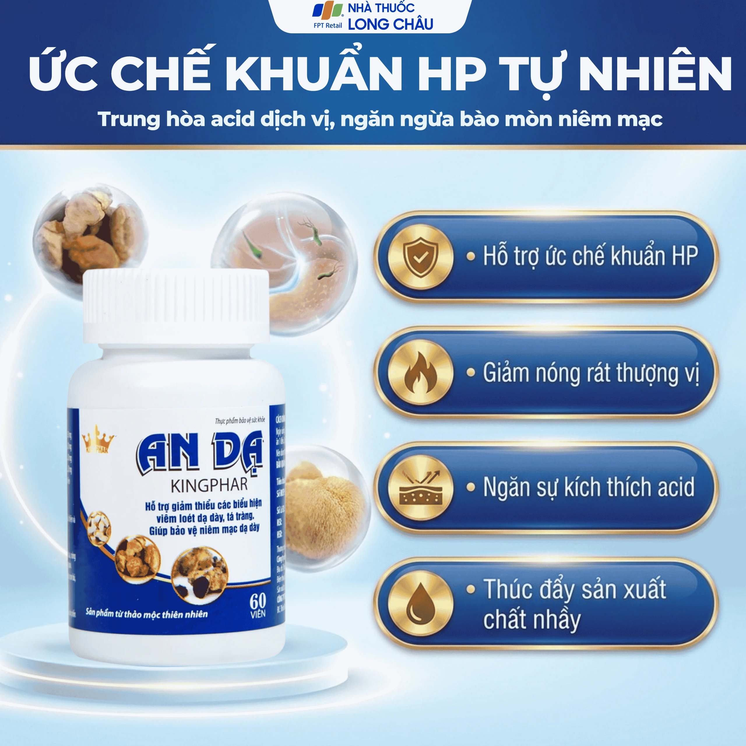 Viên uống hỗ trợ giảm axit dịch vị, giảm viêm loét dạ dày, tá tràng An Dạ Kingphar (60 viên) 4