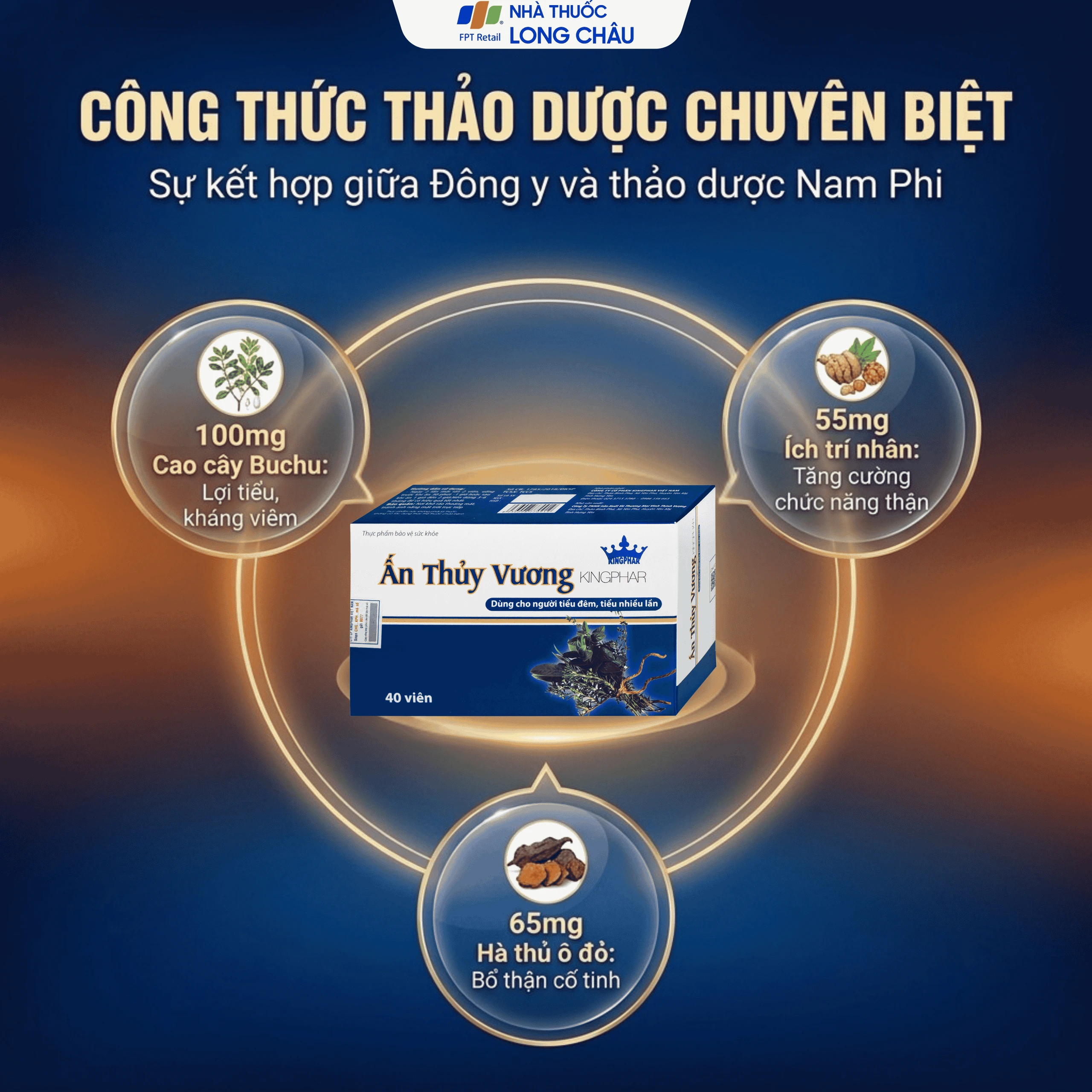 Viên uống giúp bổ thận, giảm tiêu đêm tiểu ngày nhiều lần Ấn Thủy Vương Kingphar (4 vỉ x 10 viên) 4
