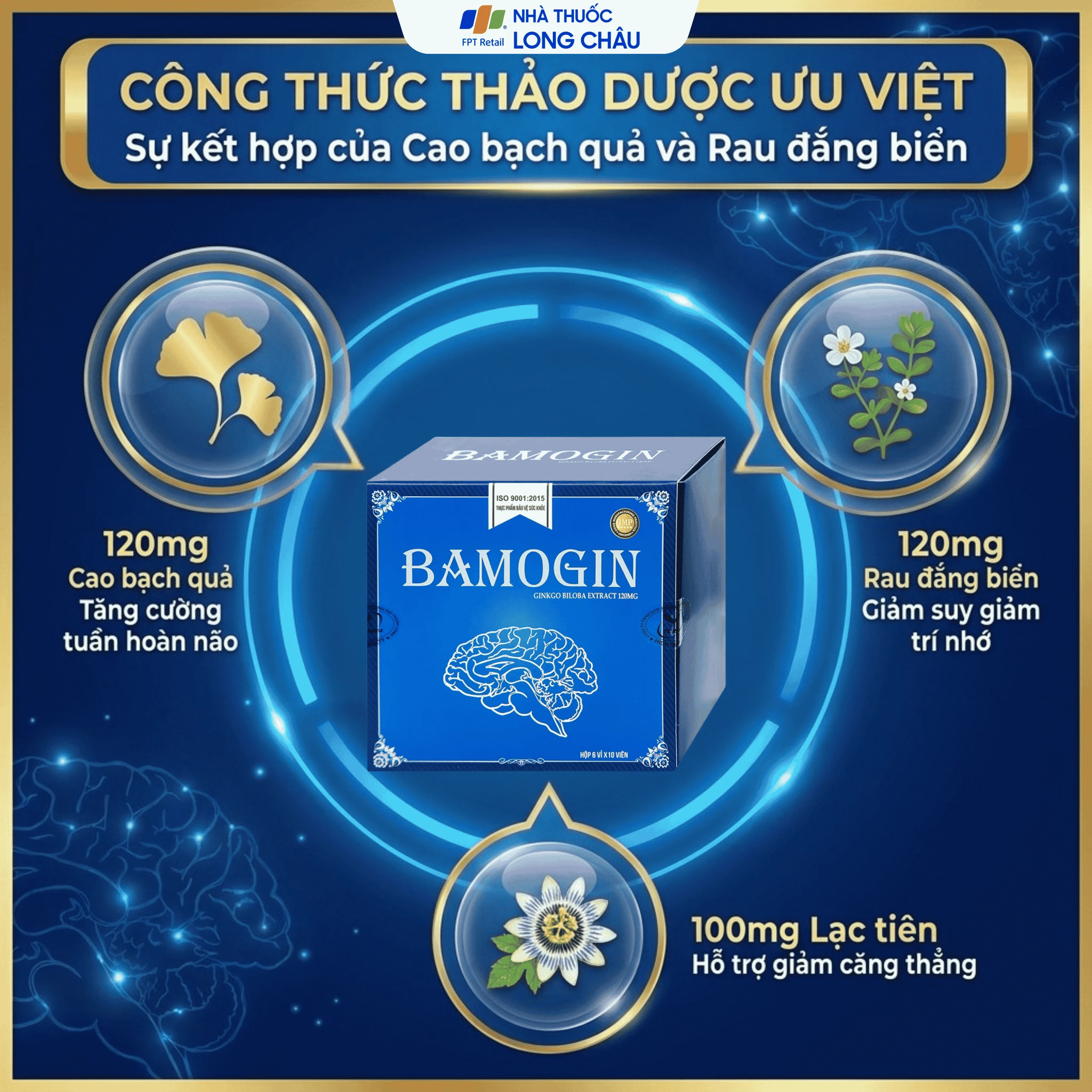 Viên uống tăng cường tuần hoàn não, cải thiện trí nhớ Bamogin Thành Công (6 vỉ x 10 viên) 3