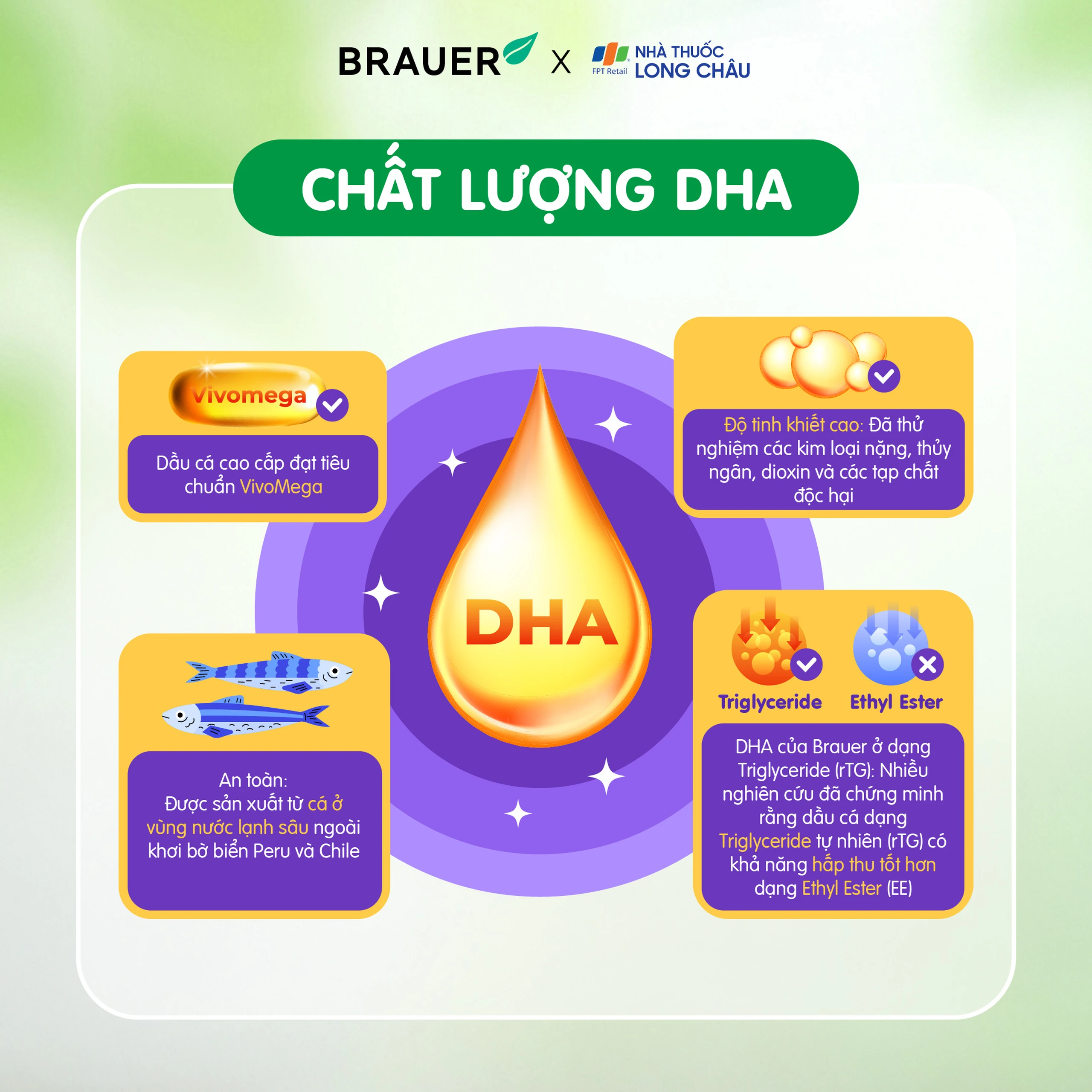 Viên hỗ trợ phát triển não bộ sức khỏe cho mắt Brauer Baby & Kids Ultra Pure DHA (60 viên) 4