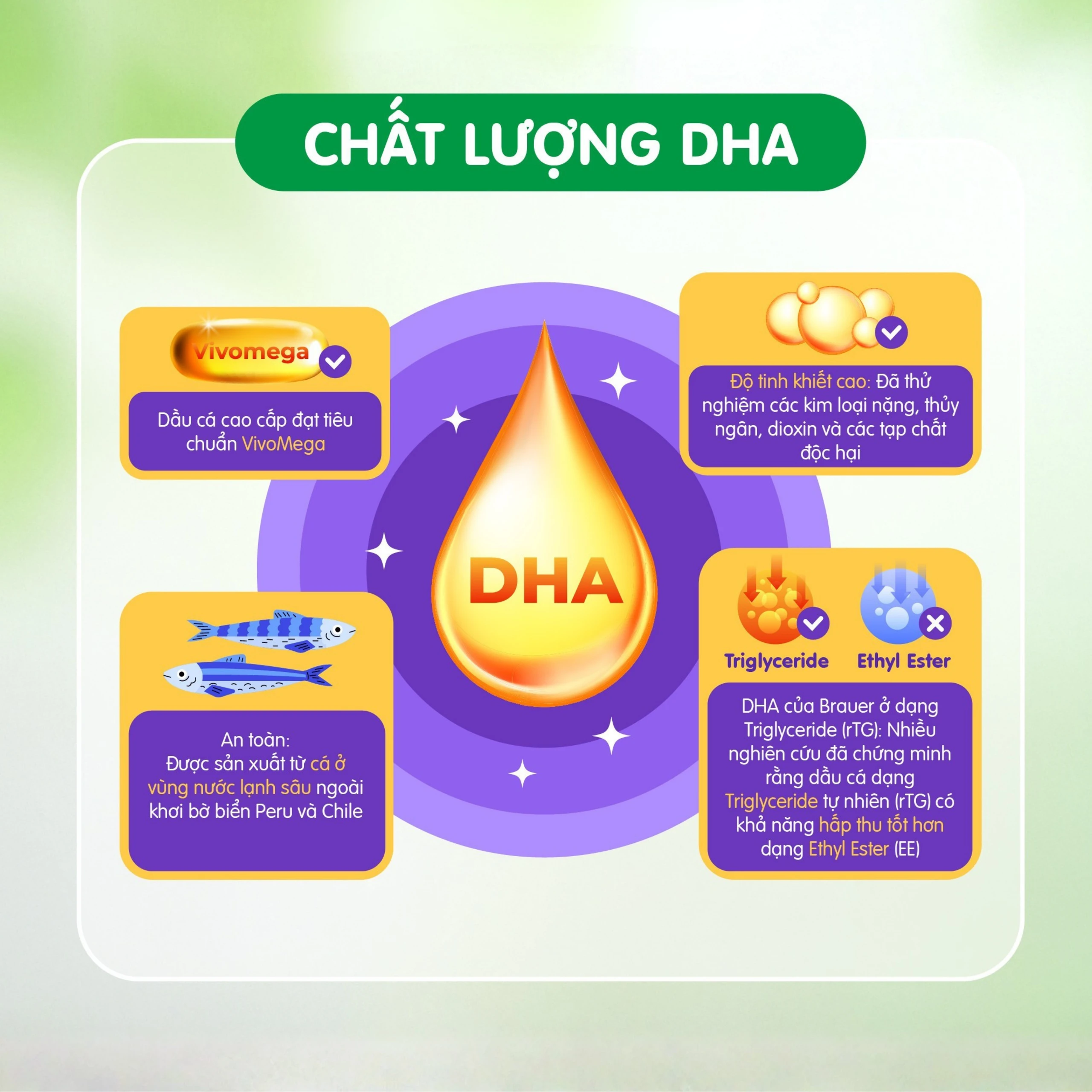 Viên hỗ trợ phát triển não bộ sức khỏe cho mắt Brauer Baby & Kids Ultra Pure DHA (60 viên)