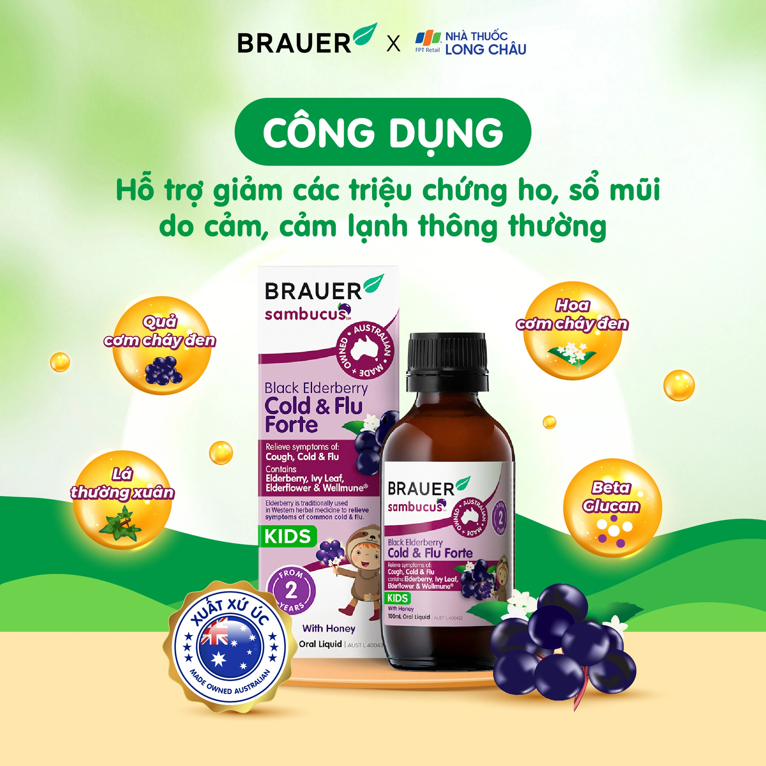 Siro hỗ trợ giảm các triệu chứng ho sổ mũi do cảm Black ElderBerry Cold And Flu Forte (100ml) 2