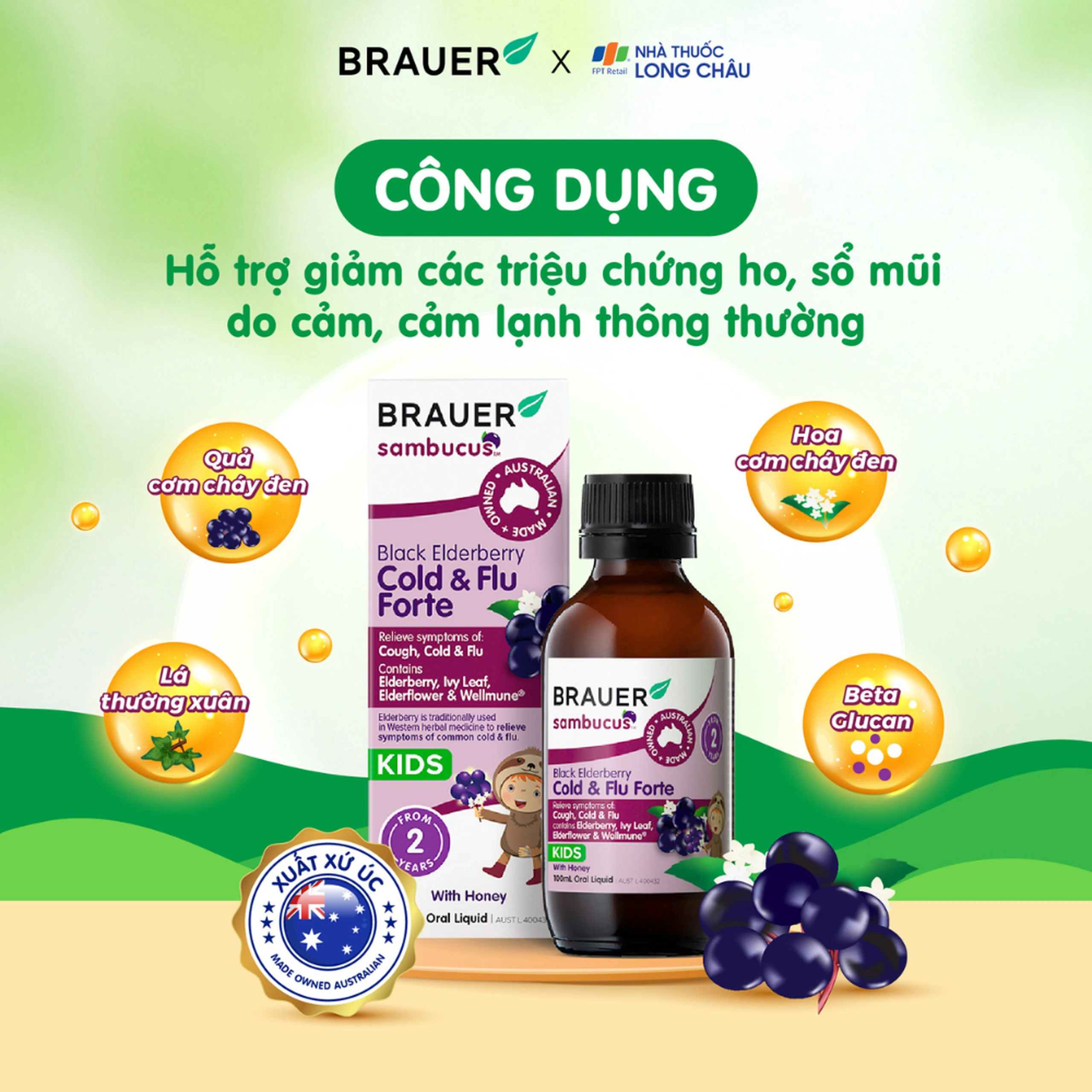 Siro hỗ trợ giảm các triệu chứng ho sổ mũi do cảm Black ElderBerry Cold And Flu Forte (100ml) 2