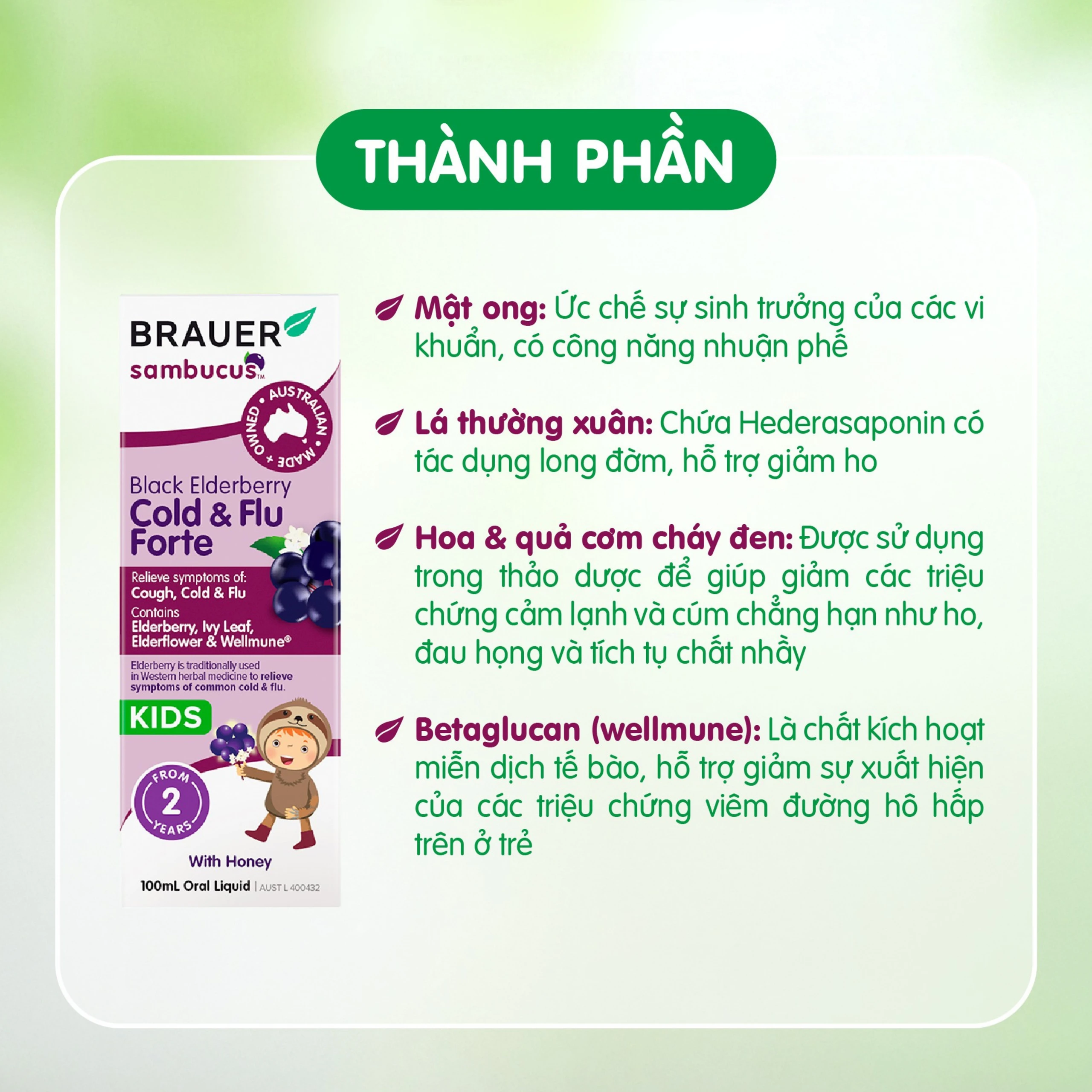 Siro hỗ trợ giảm các triệu chứng ho sổ mũi do cảm Black ElderBerry Cold And Flu Forte (100ml)