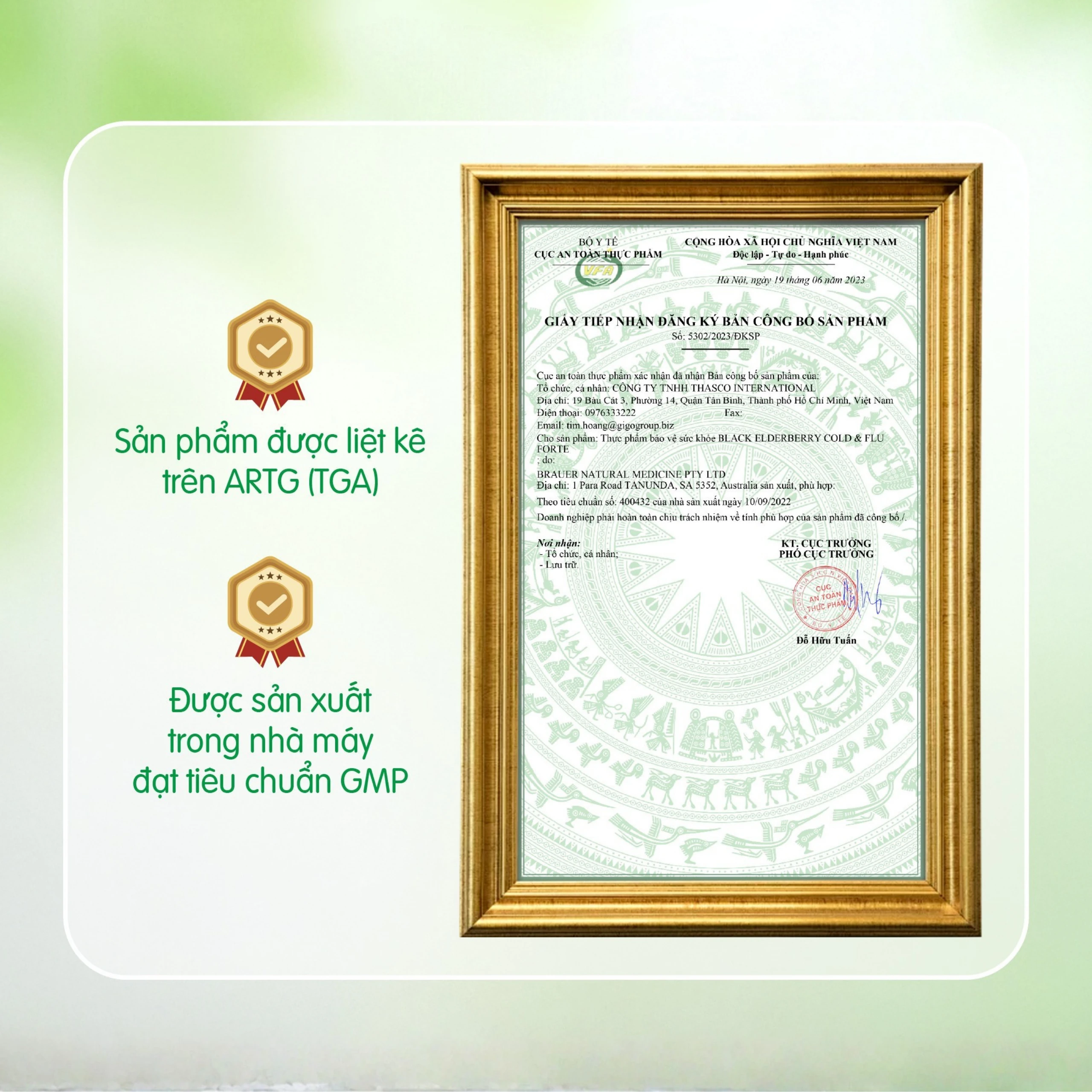 Siro hỗ trợ giảm các triệu chứng ho sổ mũi do cảm Black ElderBerry Cold And Flu Forte (100ml)