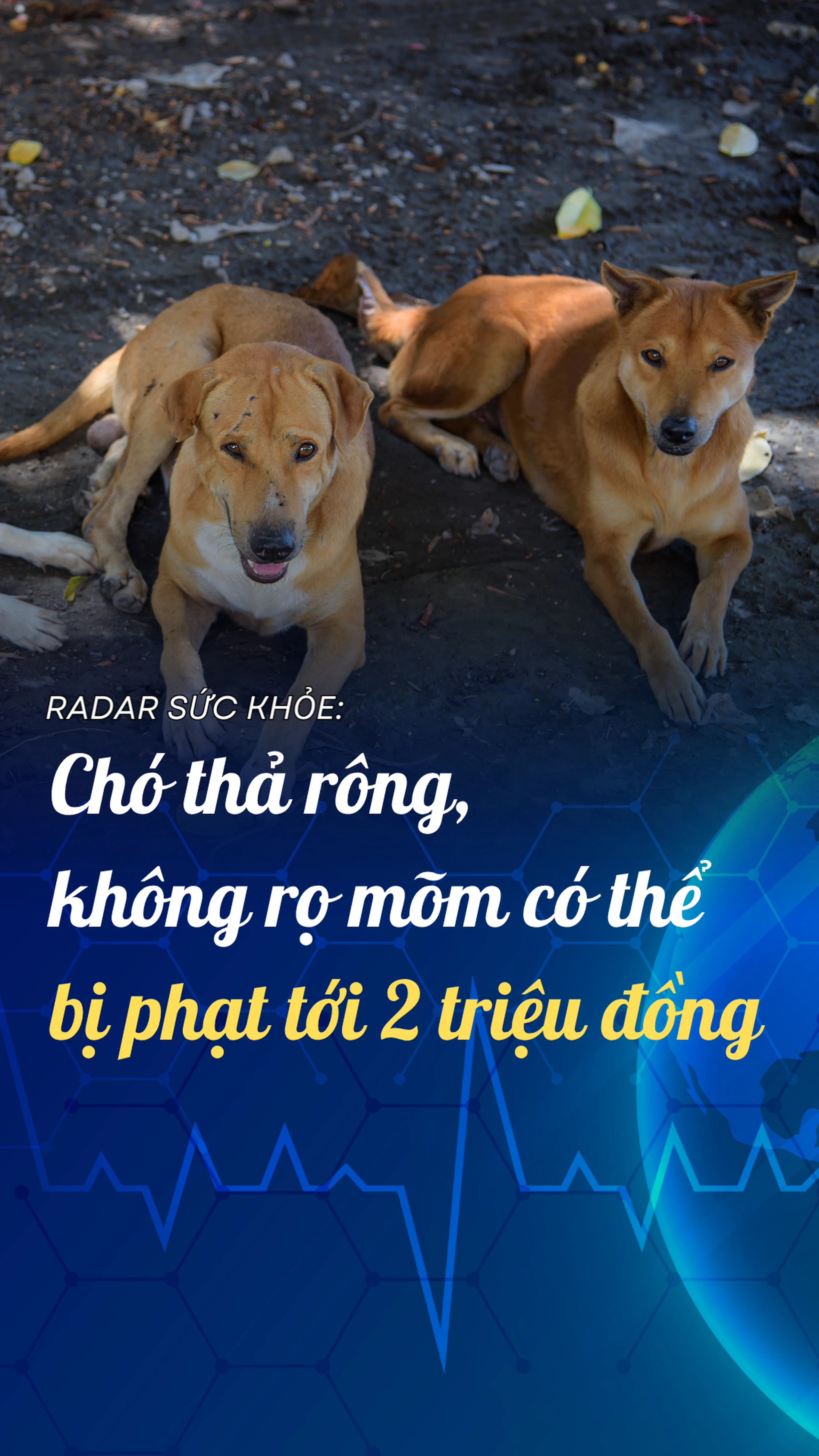 Nhà thuốc Long Châu