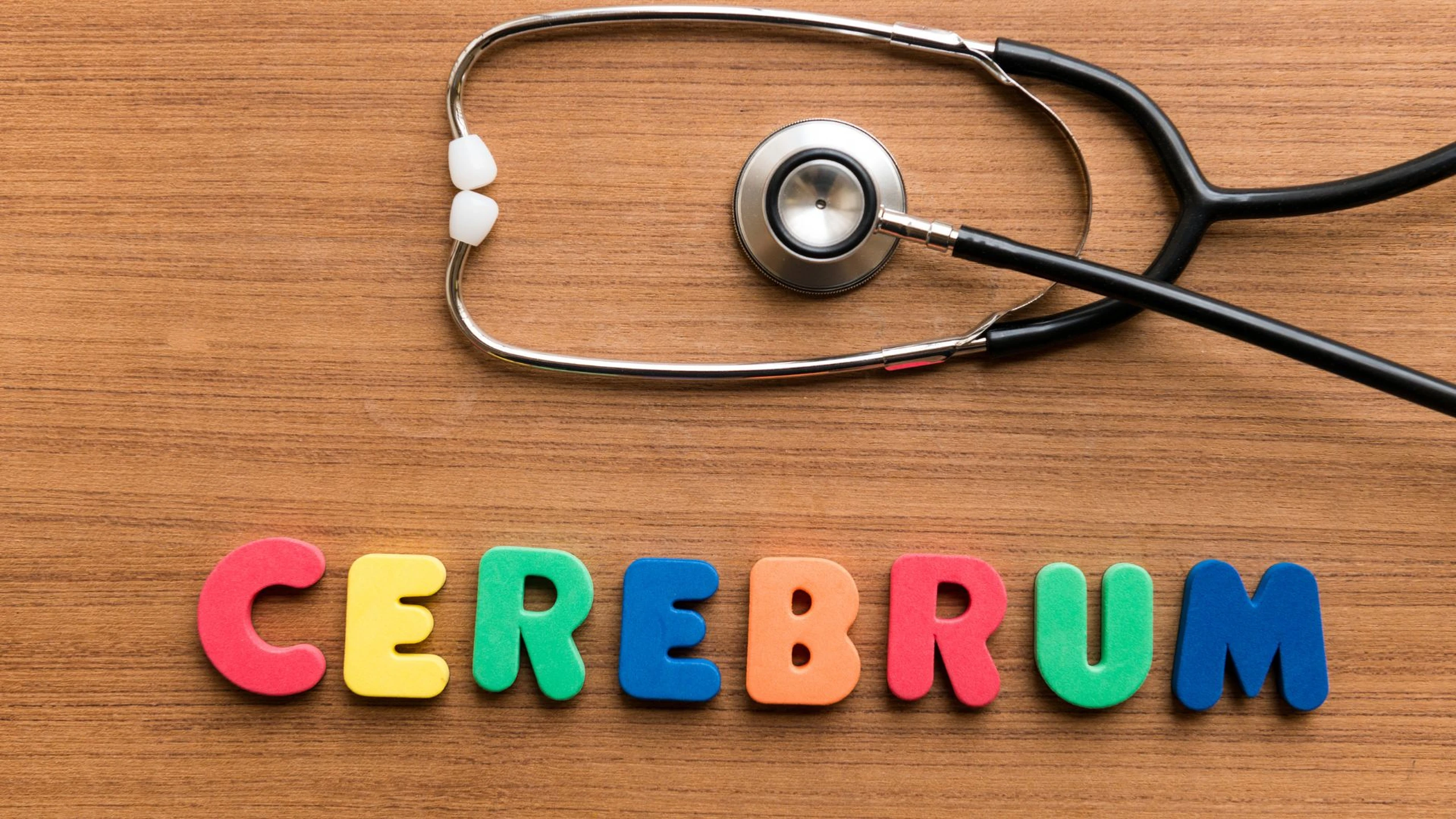 Cerebrum là gì? Thông tin quan trọng về cerebrum hay còn gọi là đại não