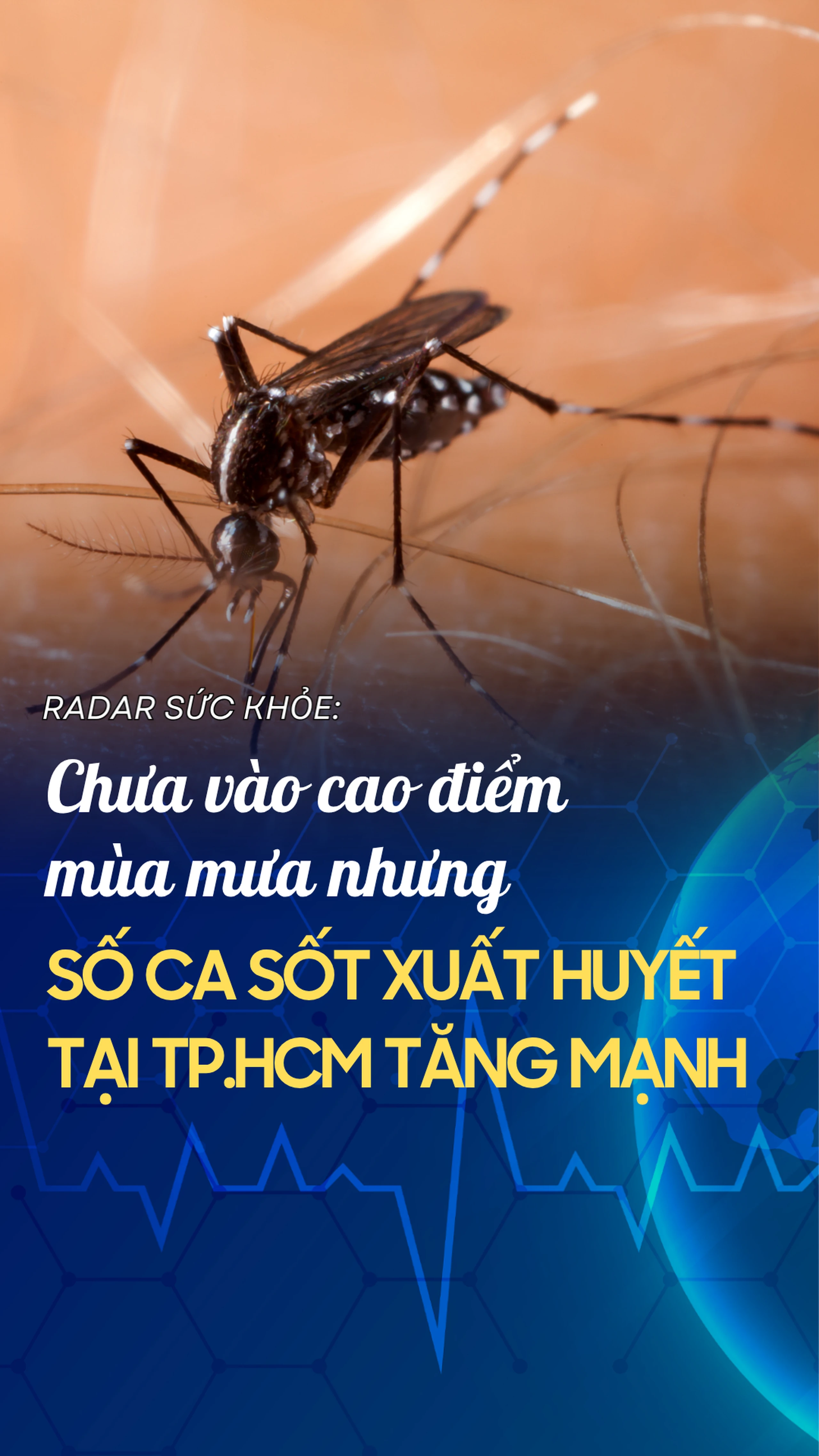 Nhà thuốc Long Châu