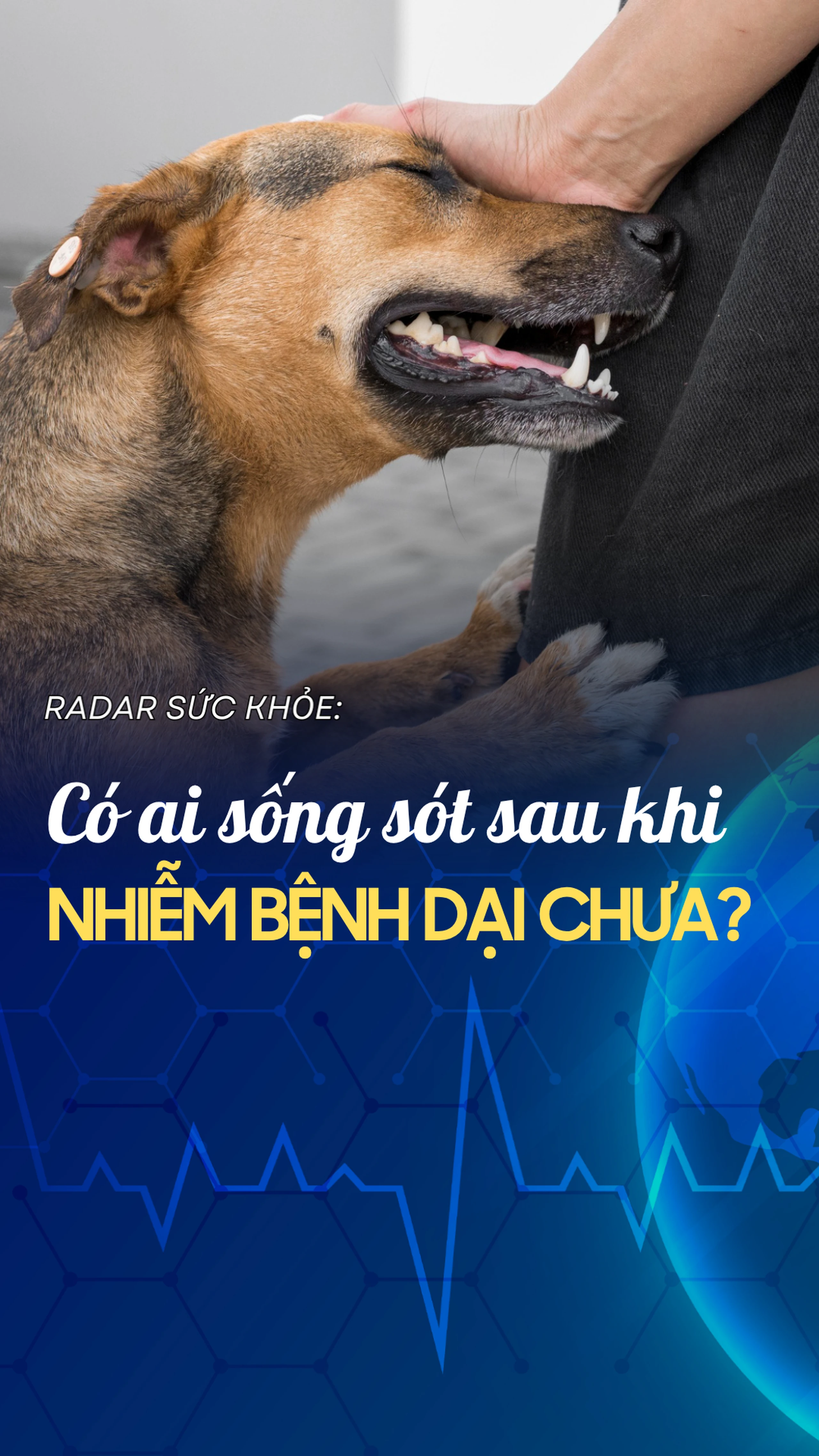 Nhà thuốc Long Châu