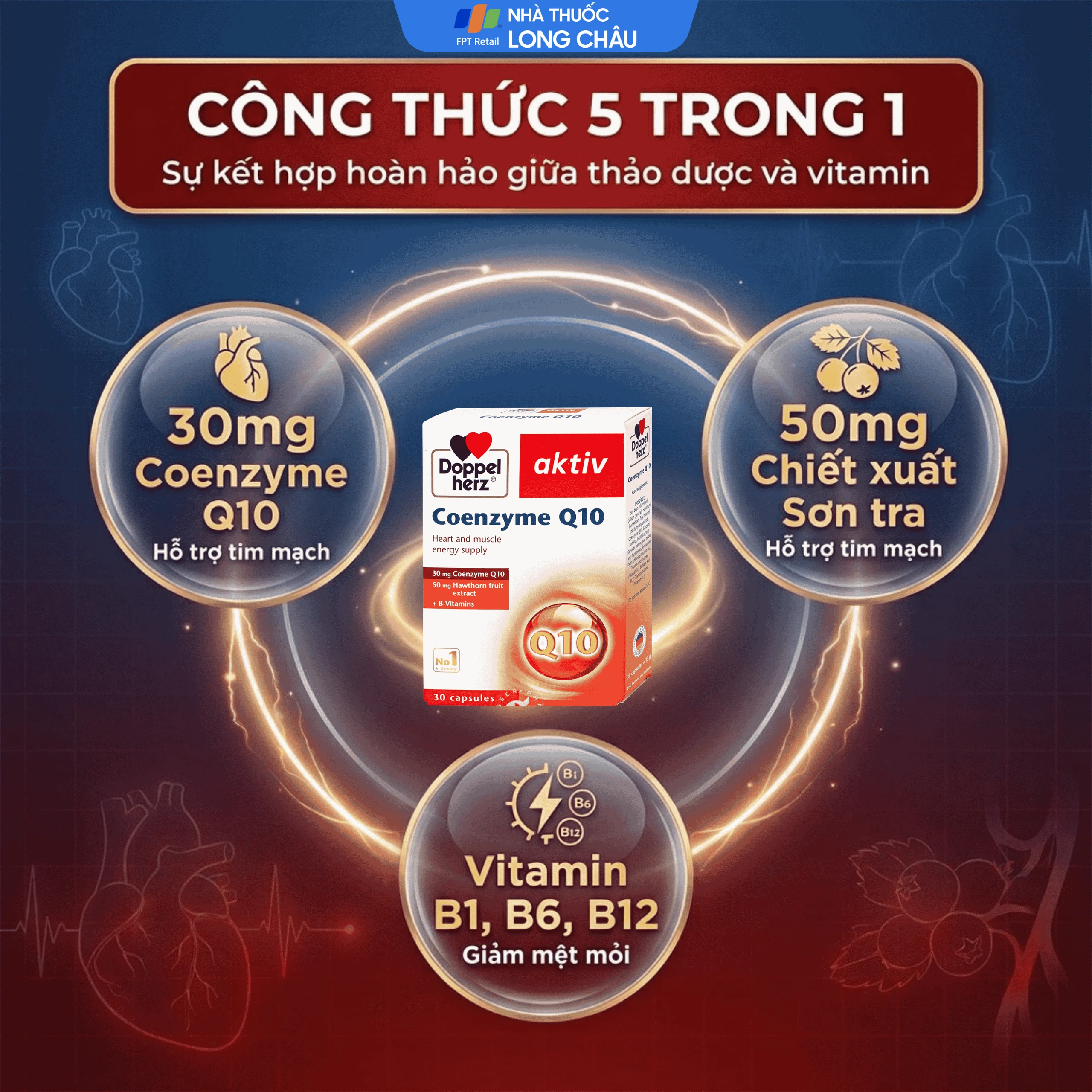 Viên uống hỗ trợ sức khỏe tim mạch Coenzyme Q10 Doppelherz (2 vỉ x 15 viên) 4
