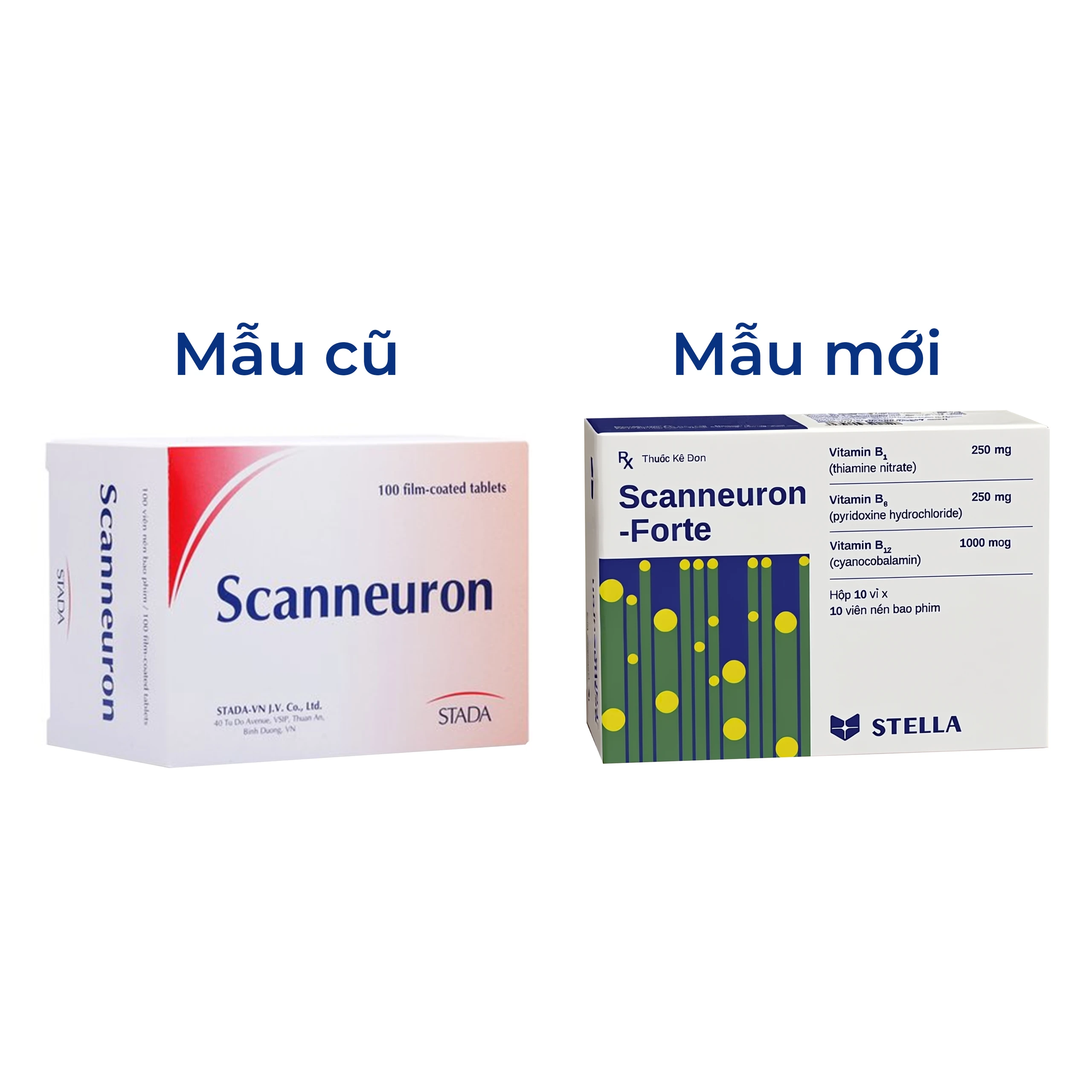 Thuốc Scanneuron-Forte Stella điều trị hỗ trợ các rối loạn về hệ thần kinh (10 vỉ x 10 viên) 2