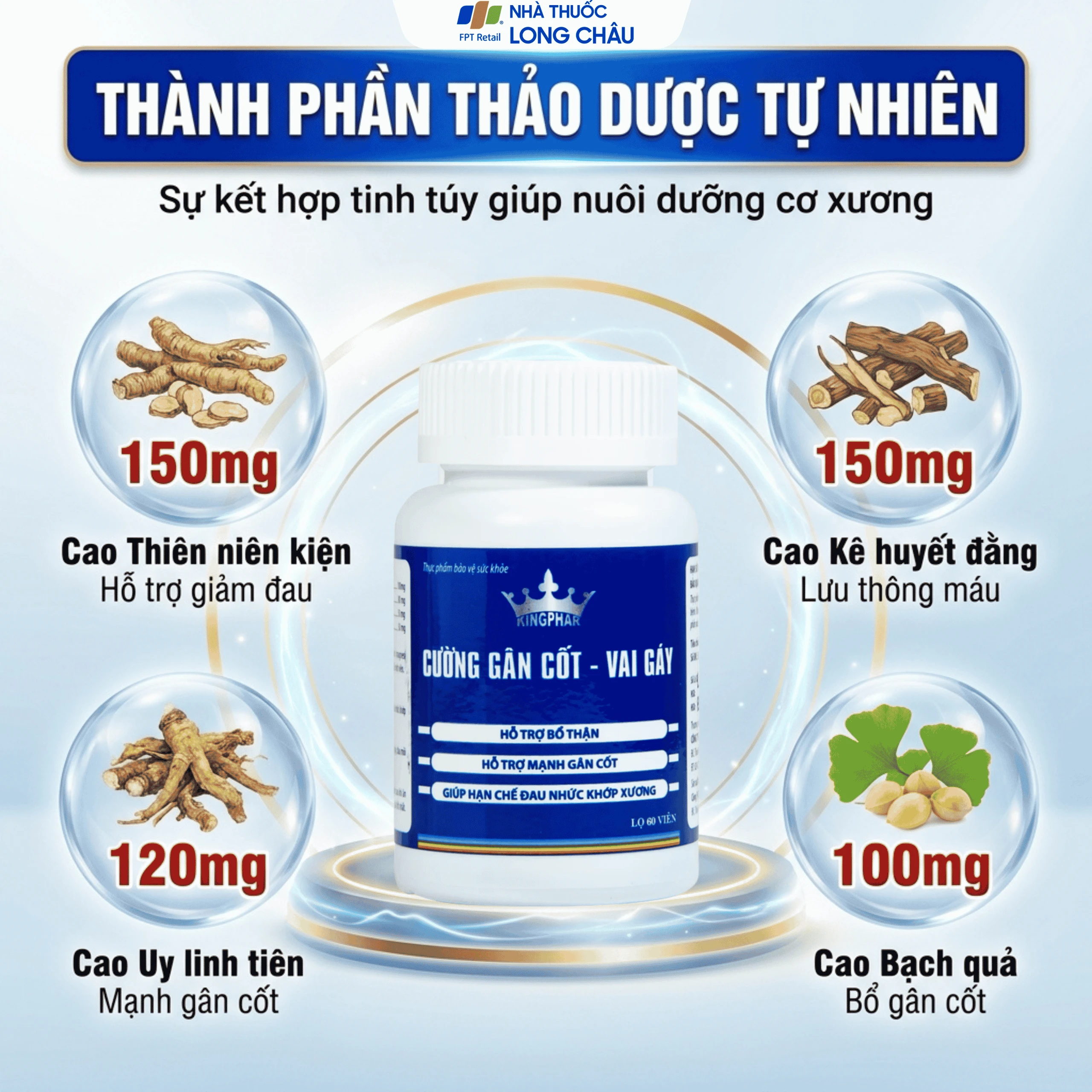Viên uống hỗ trợ bổ thận, giúp hạn chế đau nhức khớp xương do phong thấp Cường Gân Cốt - Vai Gáy Kingphar (60 viên) 3