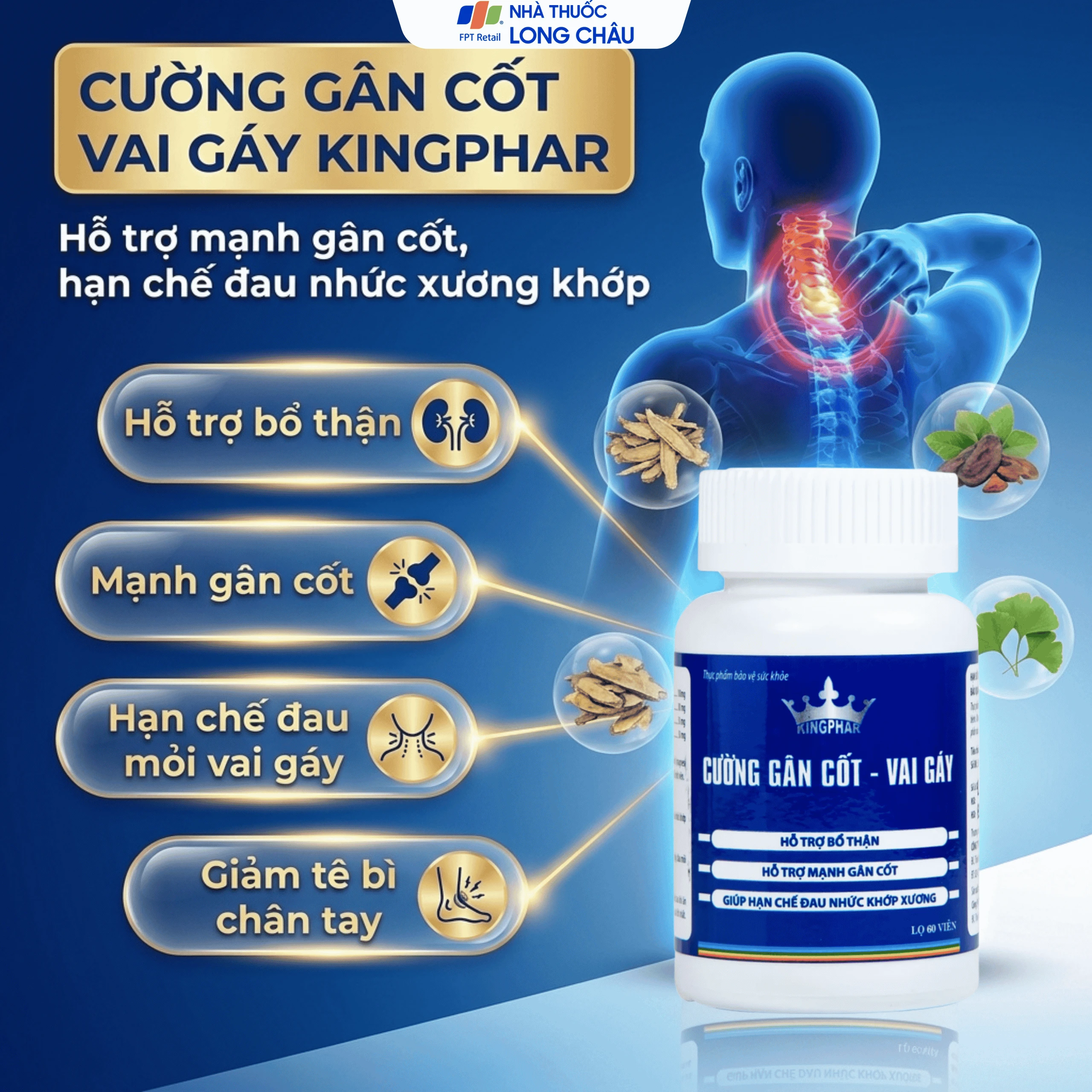 Viên uống hỗ trợ bổ thận, giúp hạn chế đau nhức khớp xương do phong thấp Cường Gân Cốt - Vai Gáy Kingphar (60 viên) 2