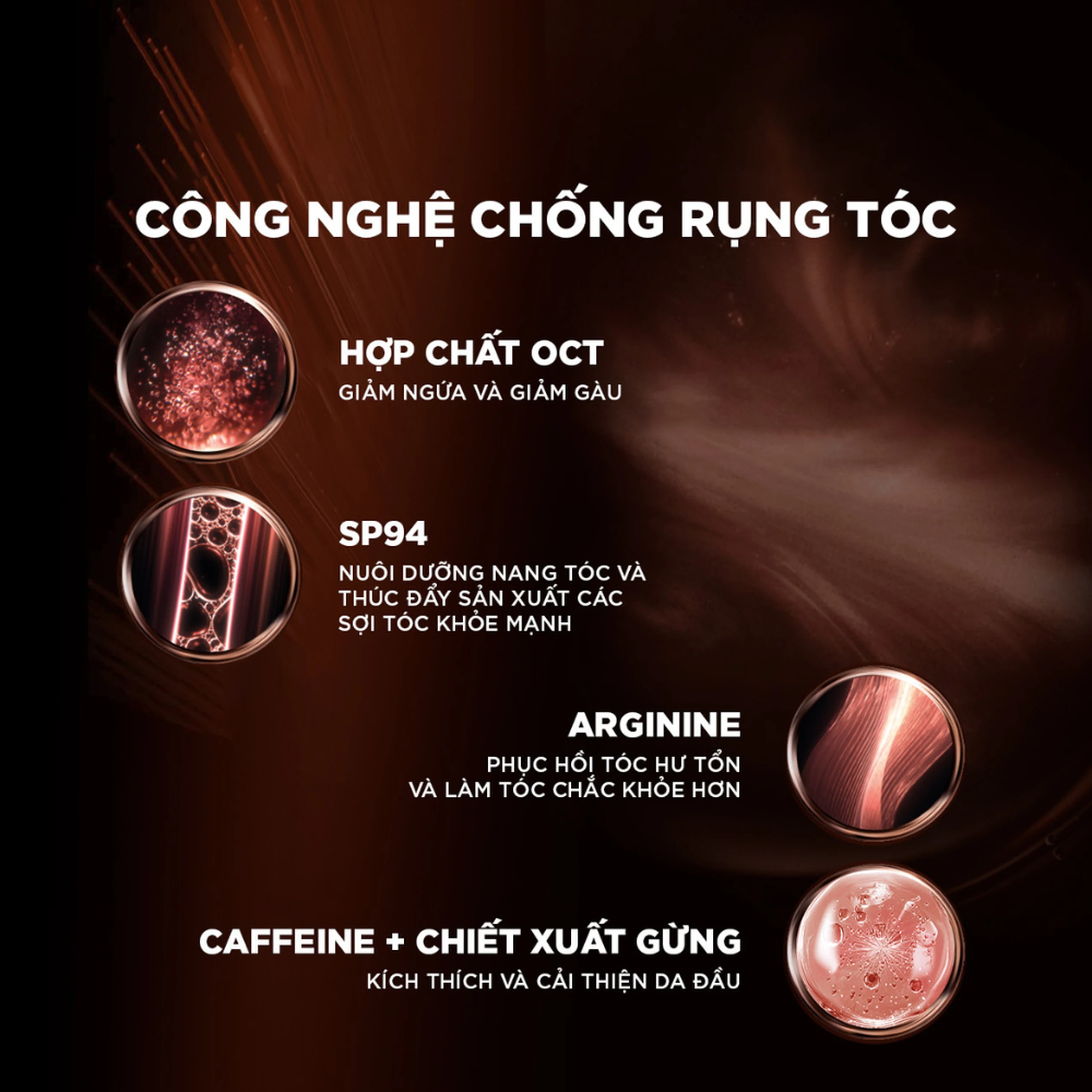 Dầu gội L'oreal full resist purifying giảm gãy rụng tóc giúp tóc chắc khỏe (440ml) 4