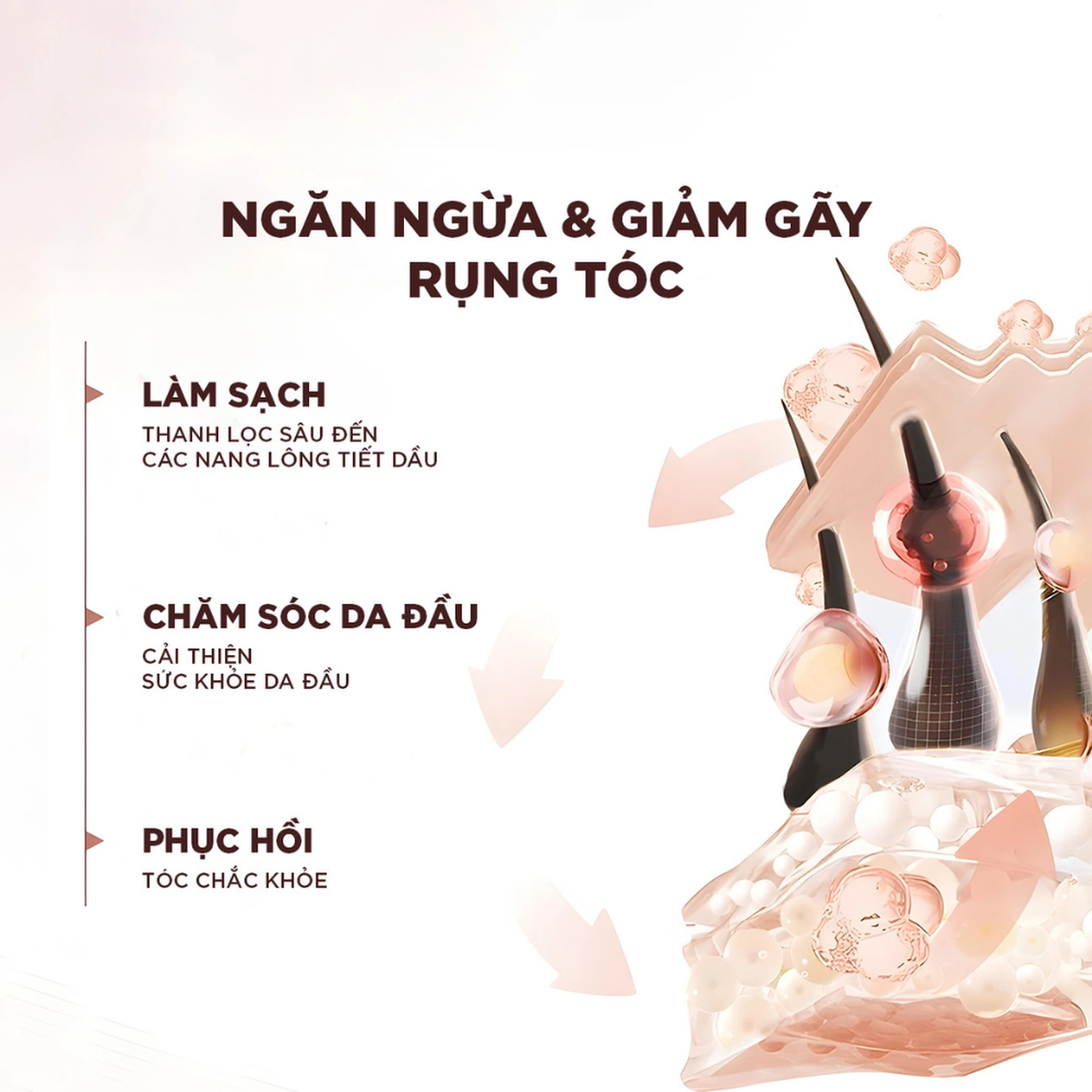 Dầu xả L'oreal full resist purifying giảm gãy rụng tóc giúp tóc chắc khỏe (440ml) 4