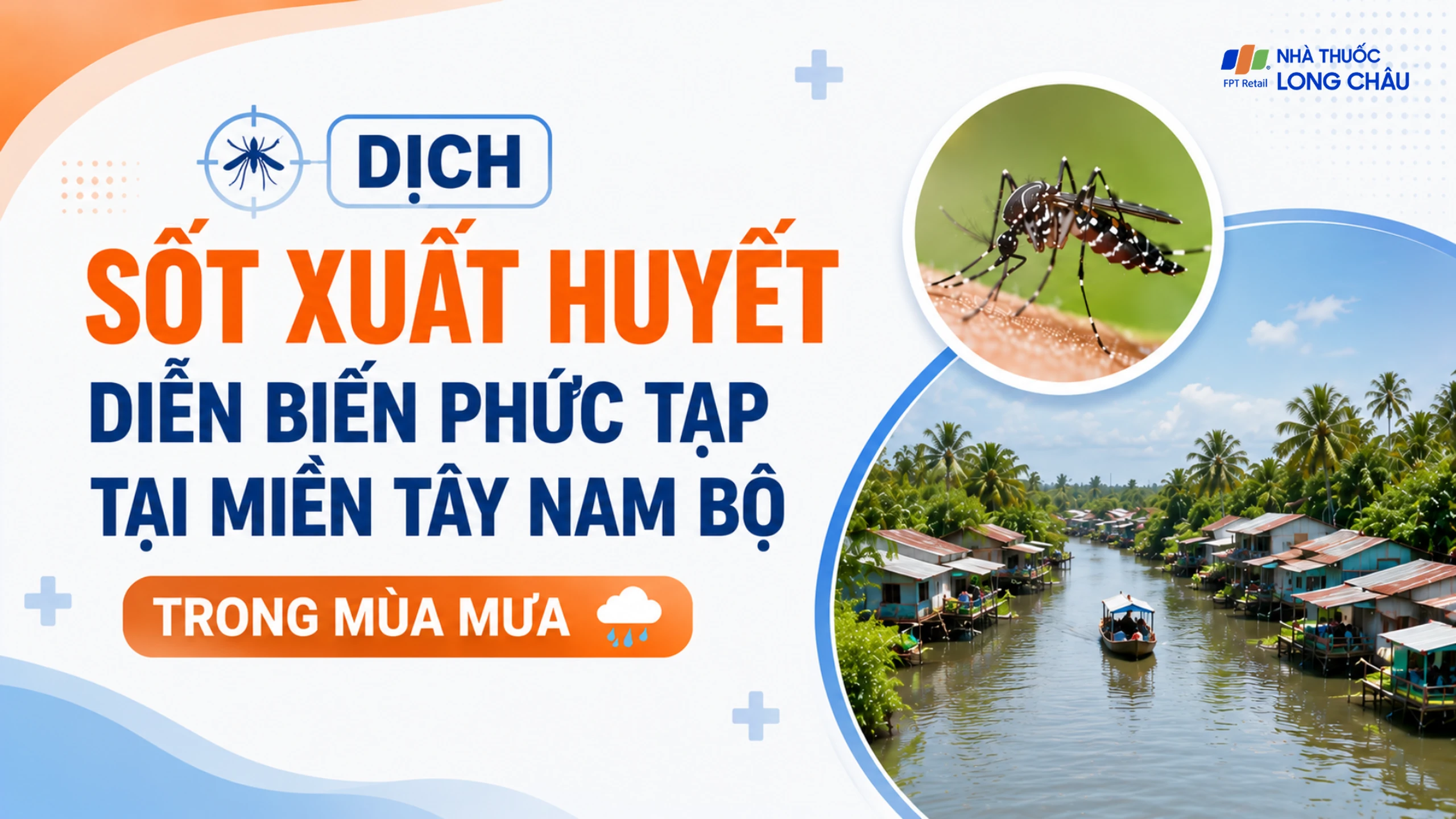 Dịch sốt xuất huyết diễn biến phức tạp tại miền Tây Nam Bộ trong mùa mưa