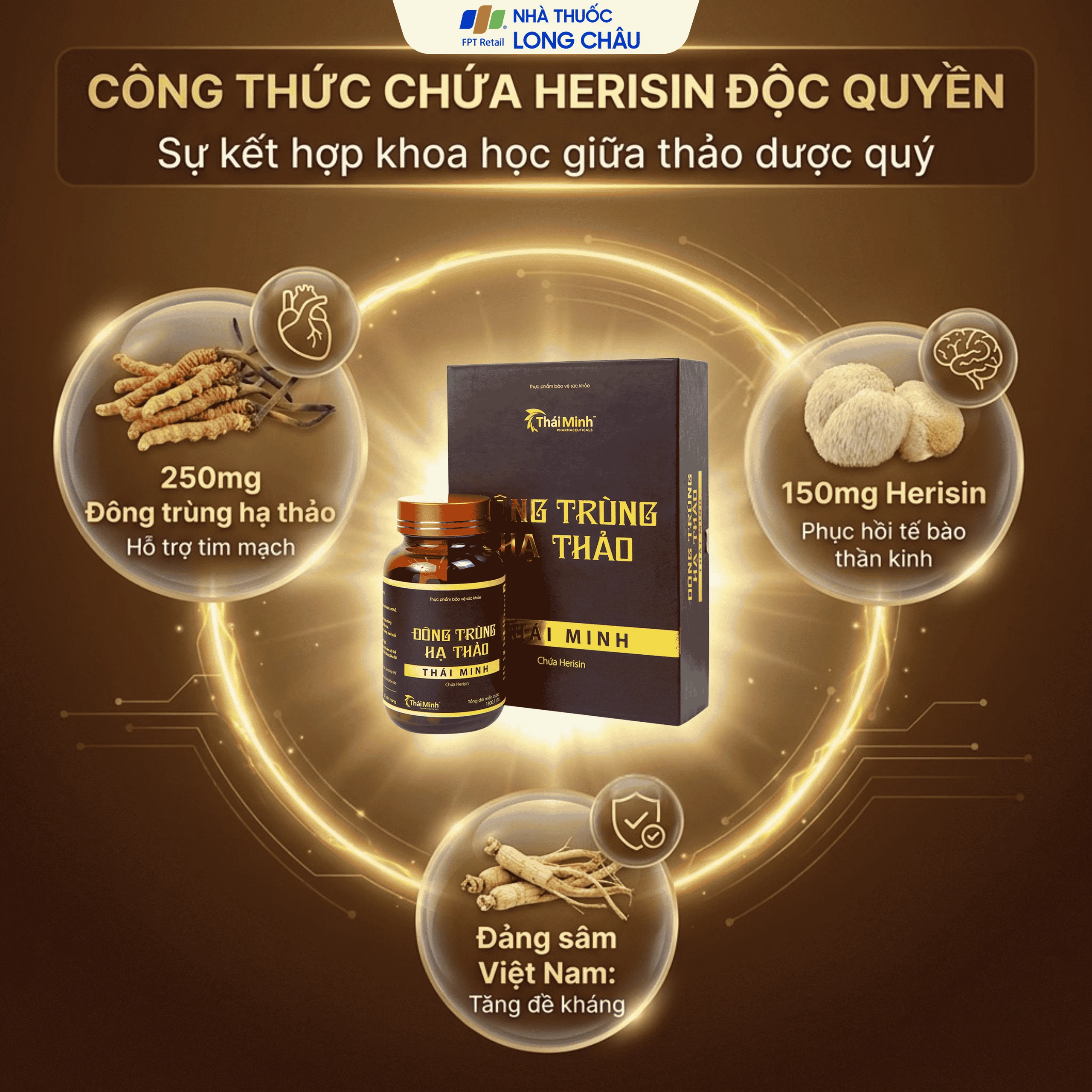 Đông Trùng Hạ Thảo Thái Minh hỗ trợ tăng cường sức khỏe, giảm mệt mỏi (30 viên) 3