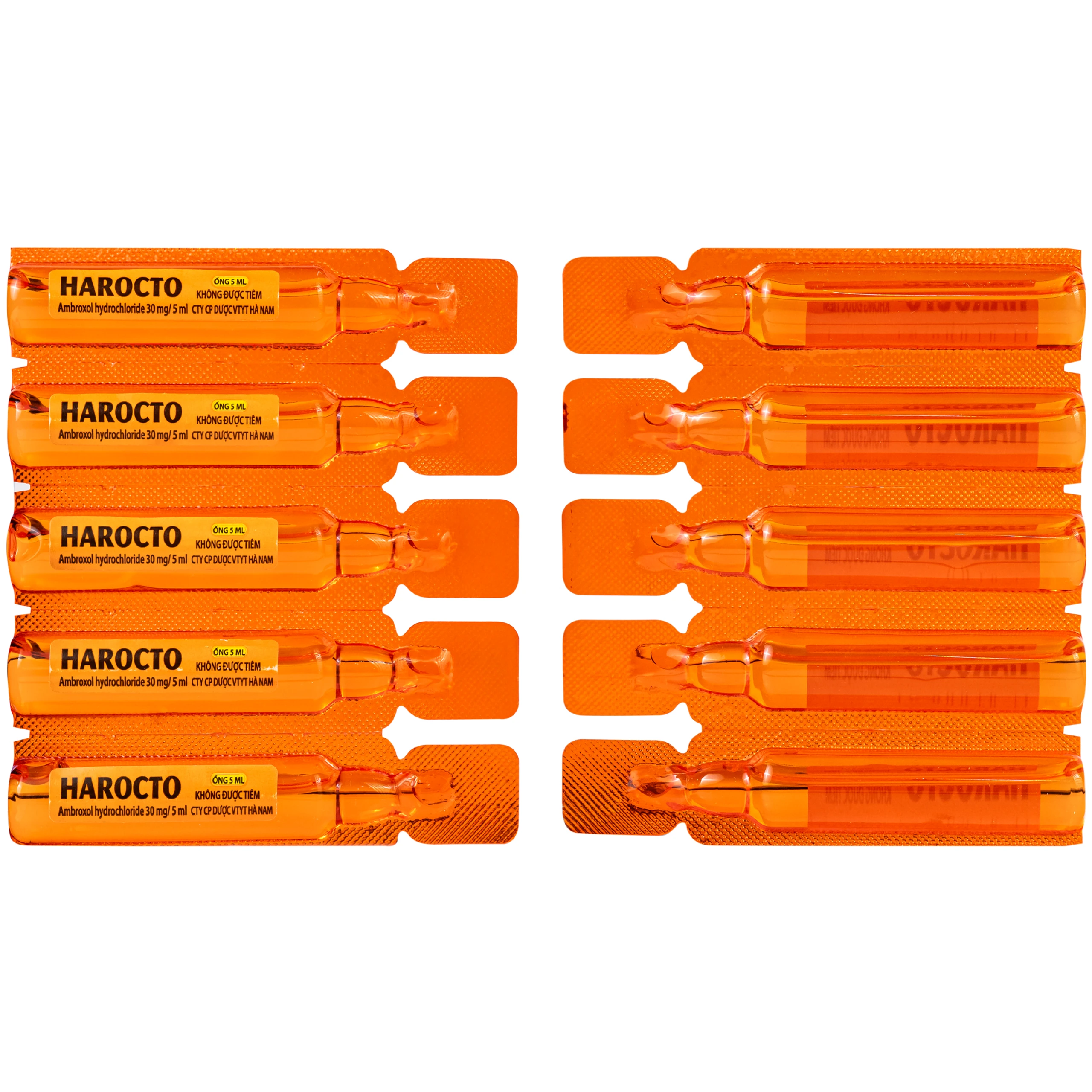 Thuốc Harocto Hà Nam tiêu chất nhầy đường hô hấp (20 ống x 5ml) 4